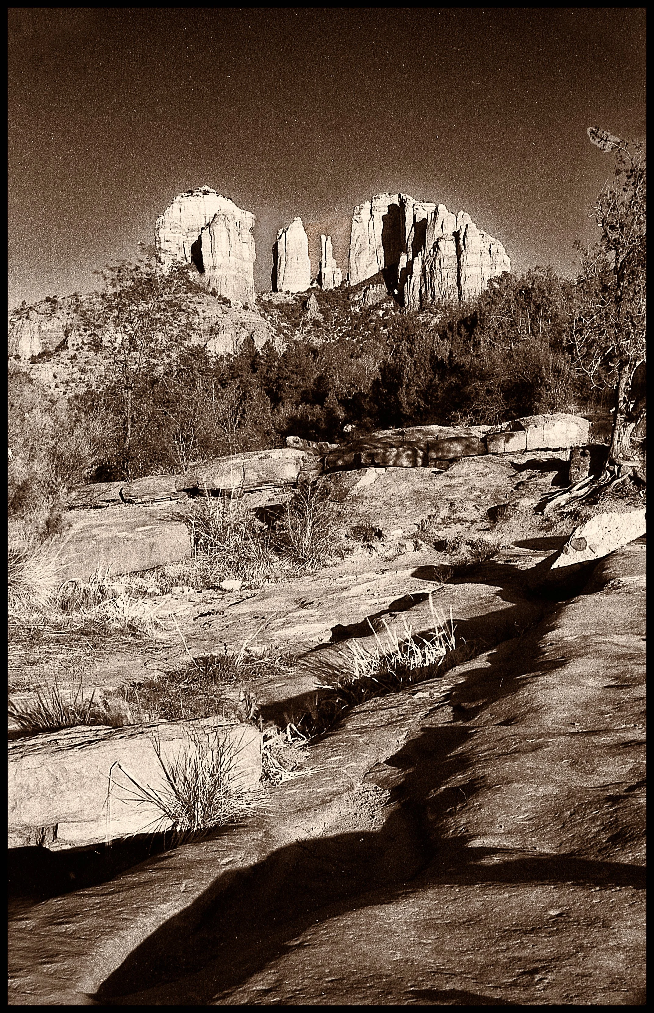 untitled (377 of 453).jpg