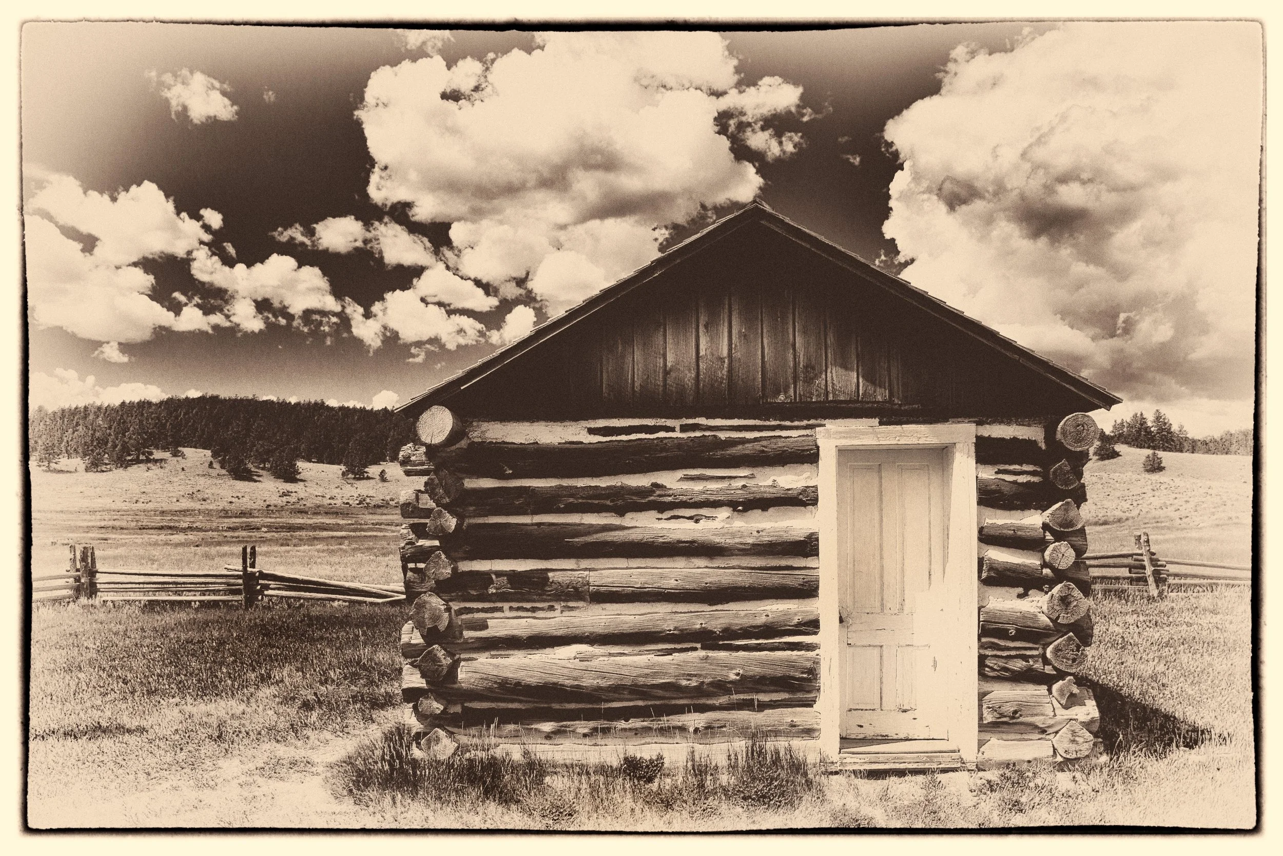 untitled (405 of 453).jpg