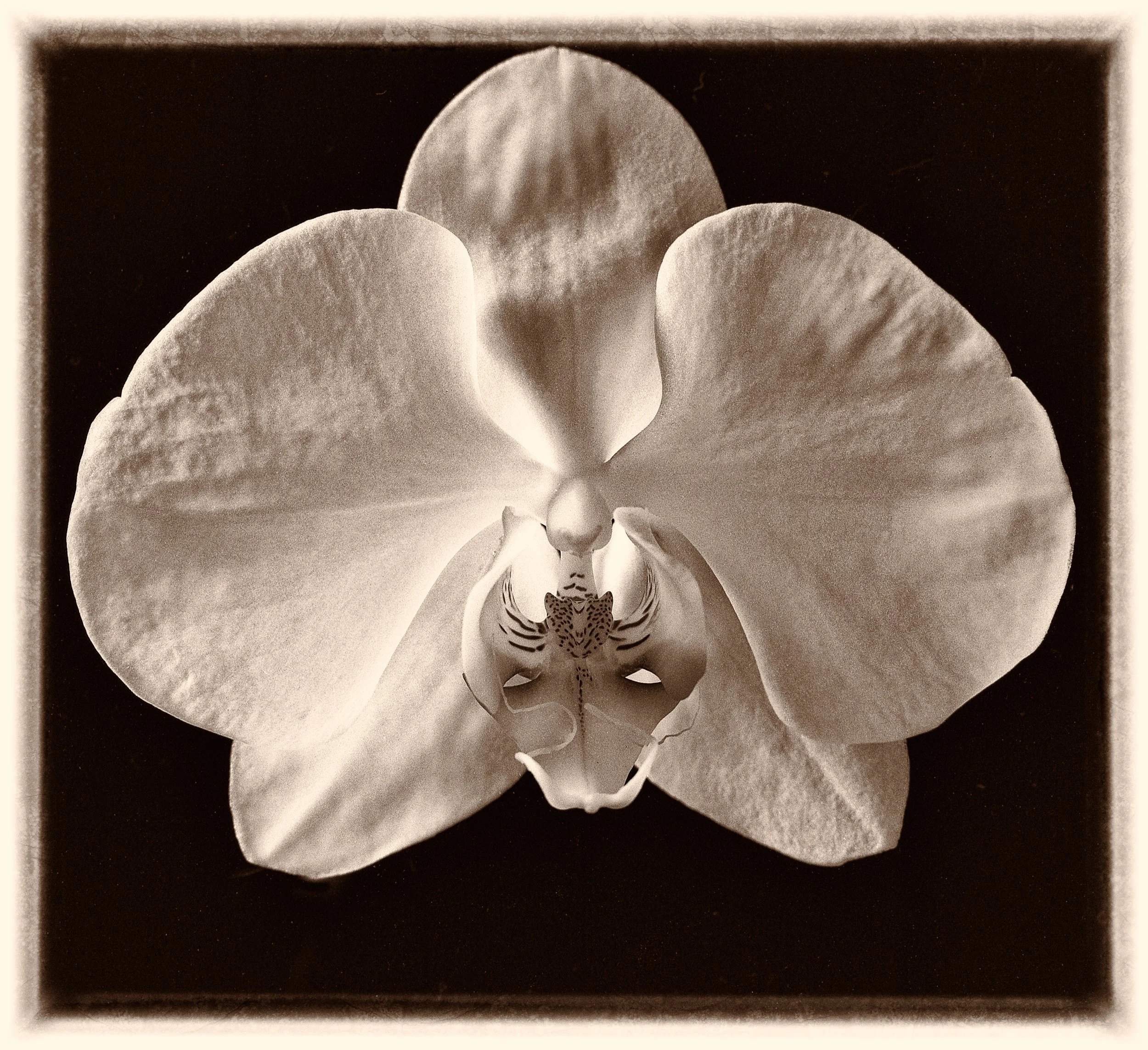 untitled (150 of 202).jpg