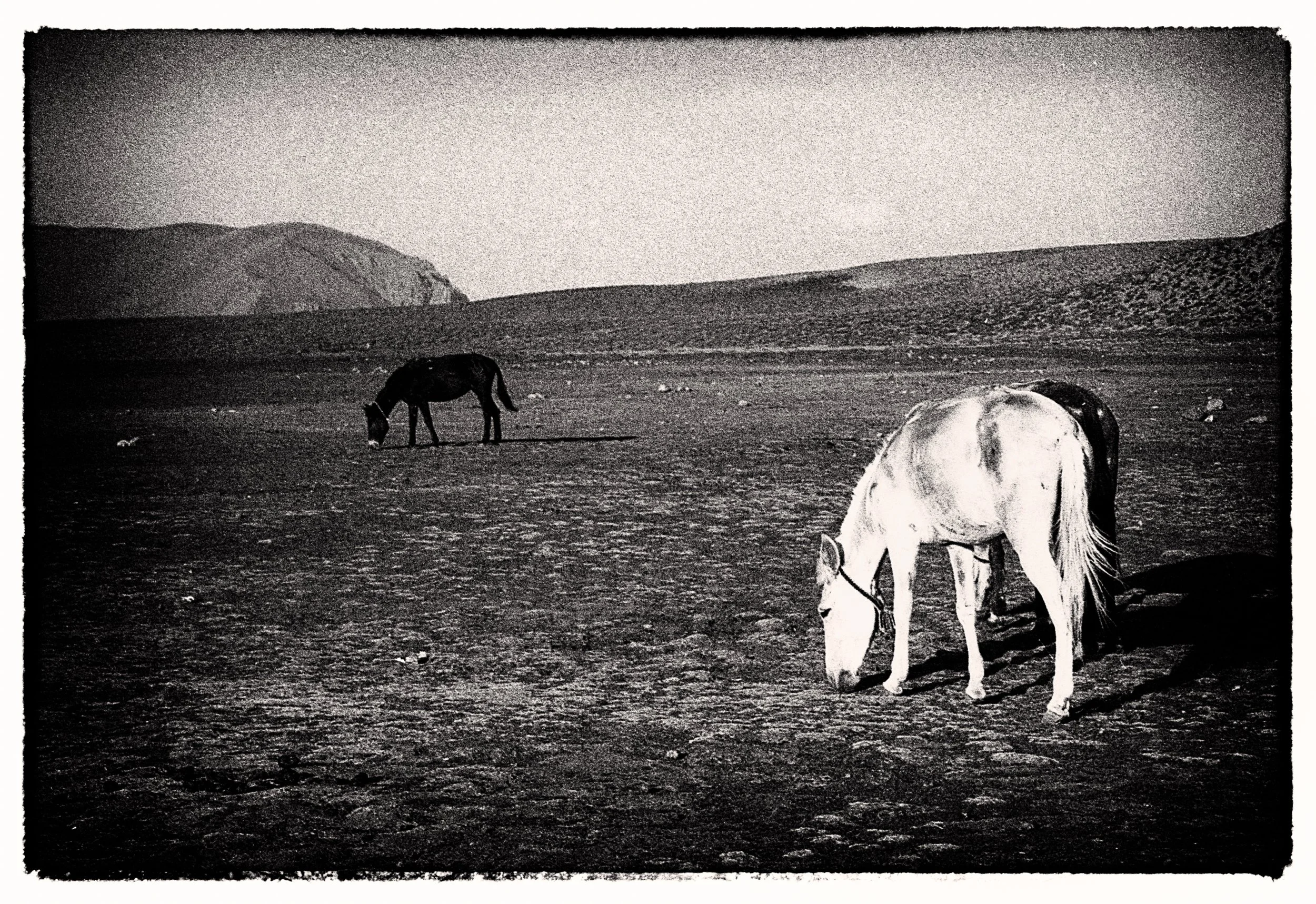 untitled (57 of 175).jpg