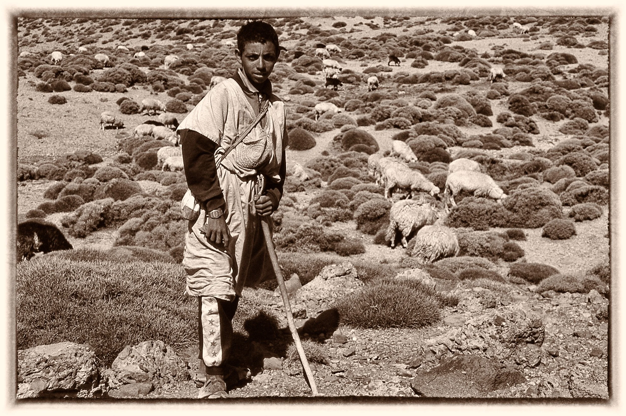 untitled (350 of 453).jpg