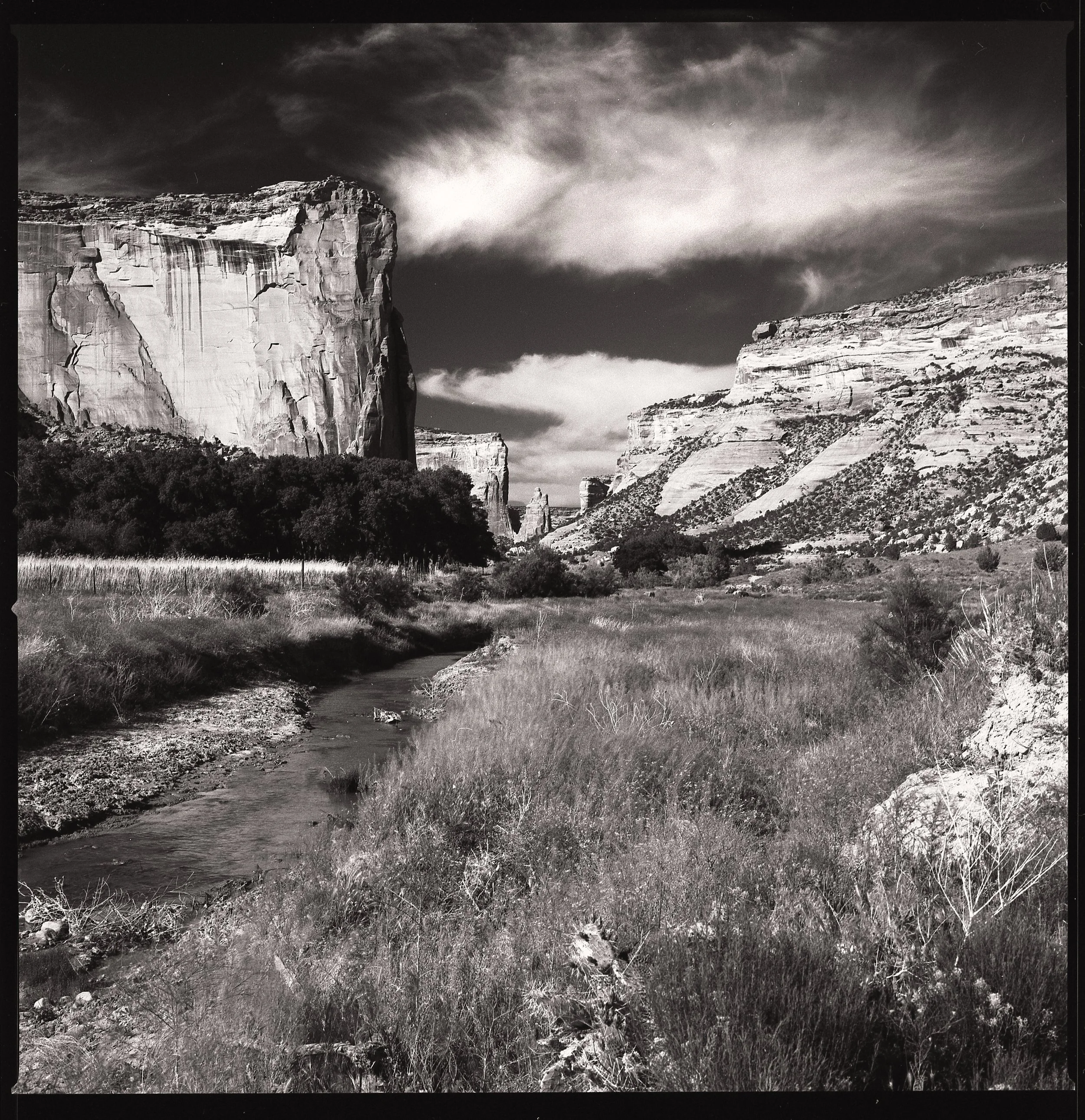 untitled (41 of 175).jpg