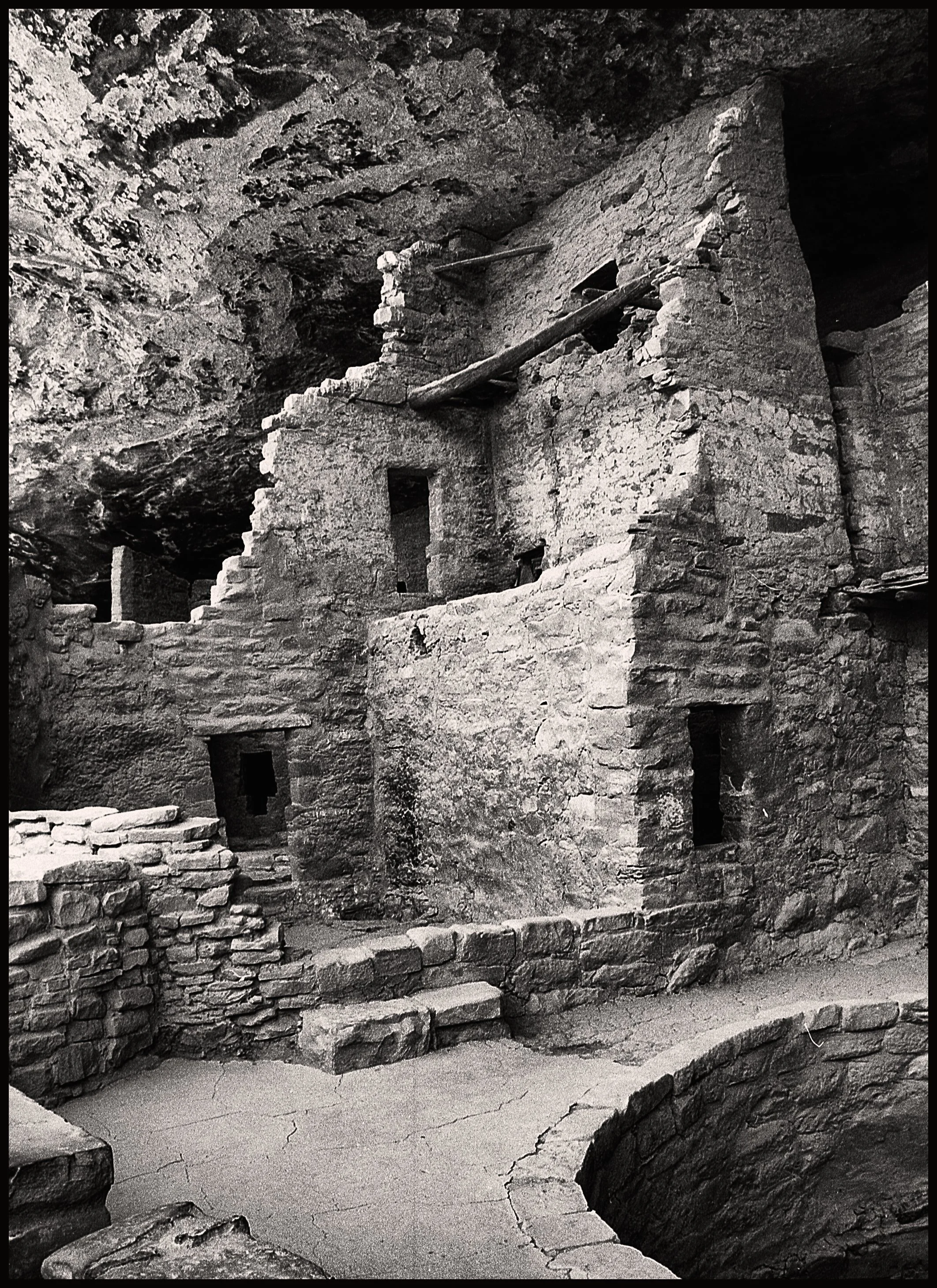 untitled (176 of 453).jpg