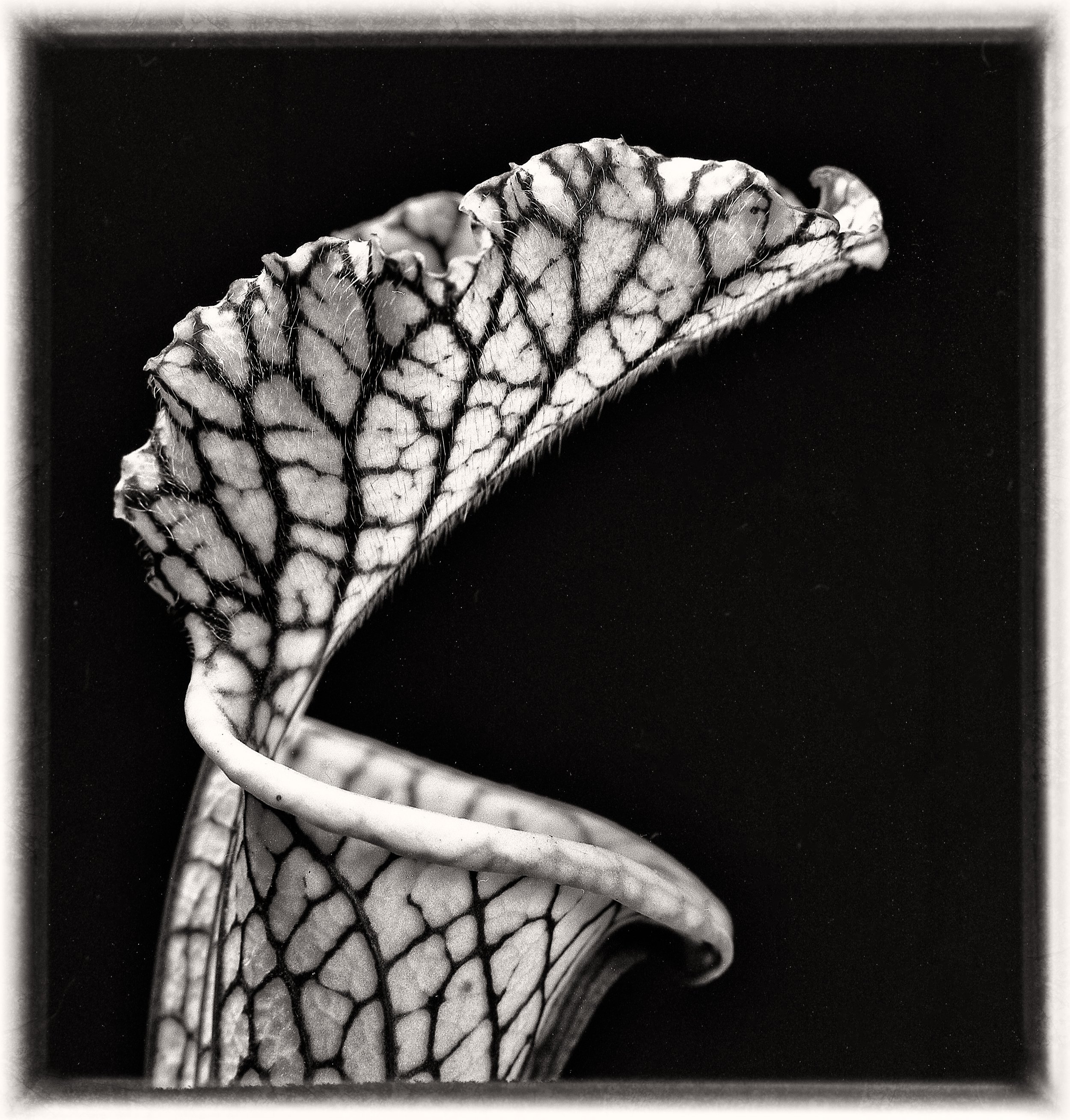 untitled (379 of 453).jpg