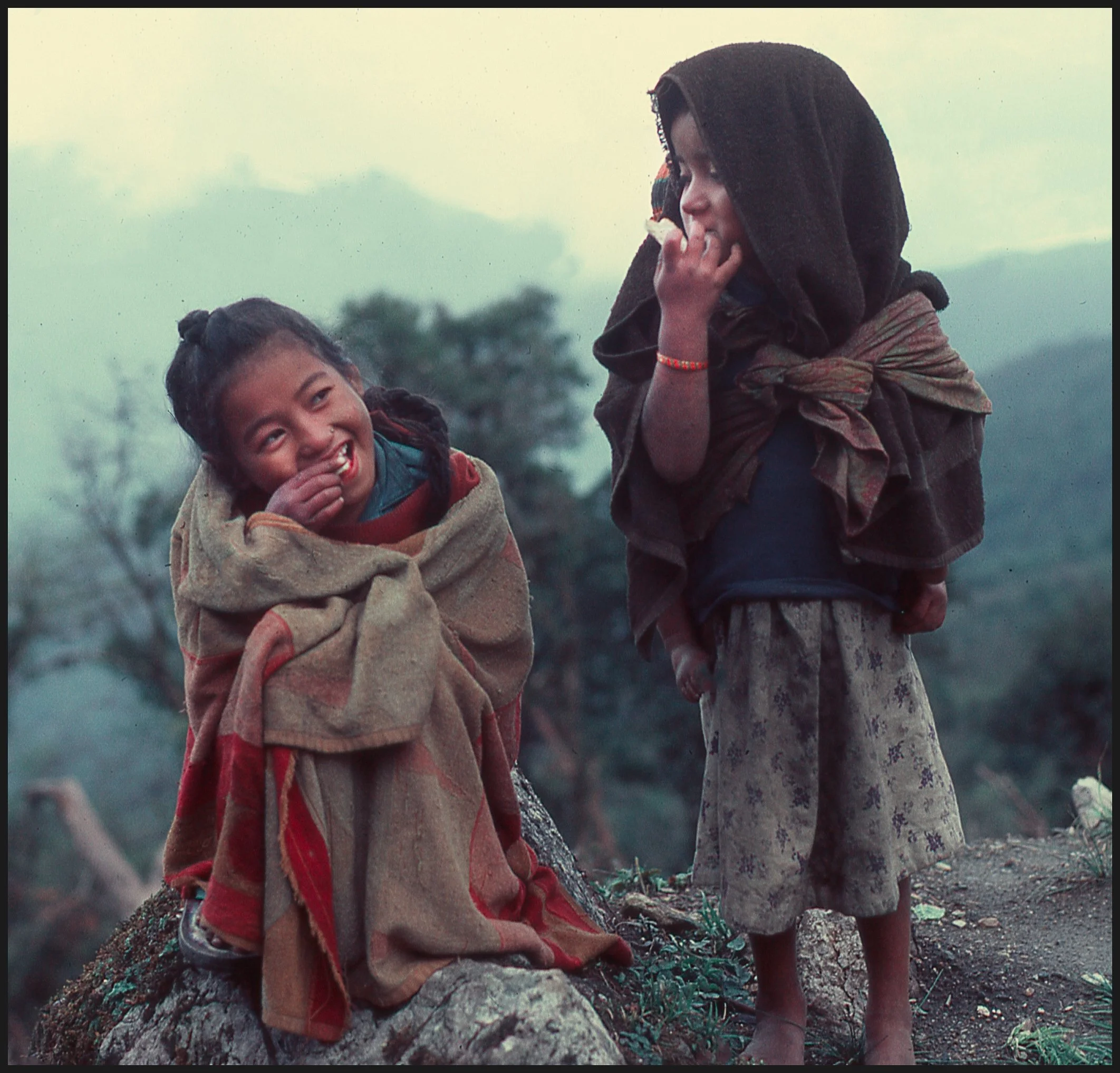 untitled (363 of 453).jpg