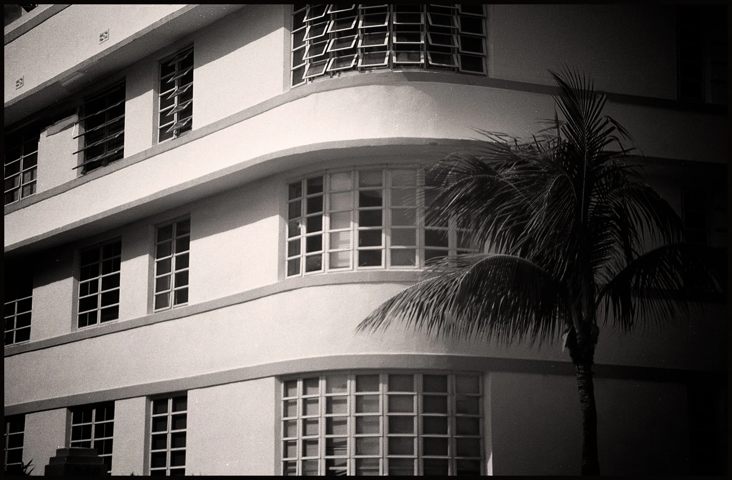 untitled (64 of 175).jpg
