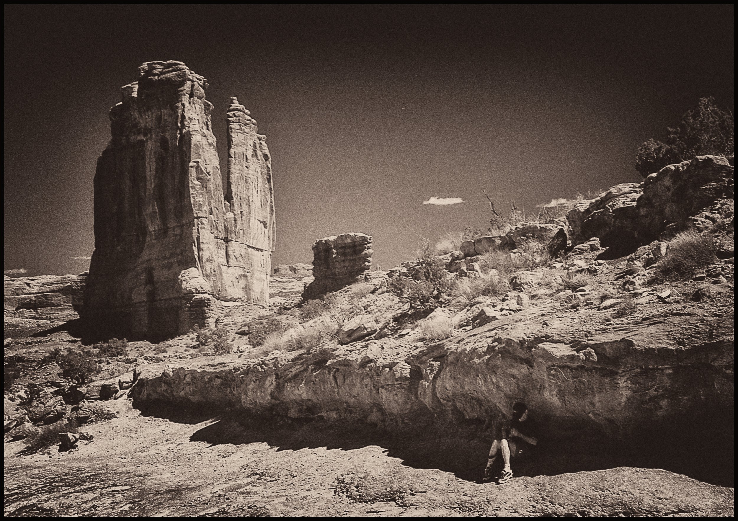 untitled (136 of 202).jpg