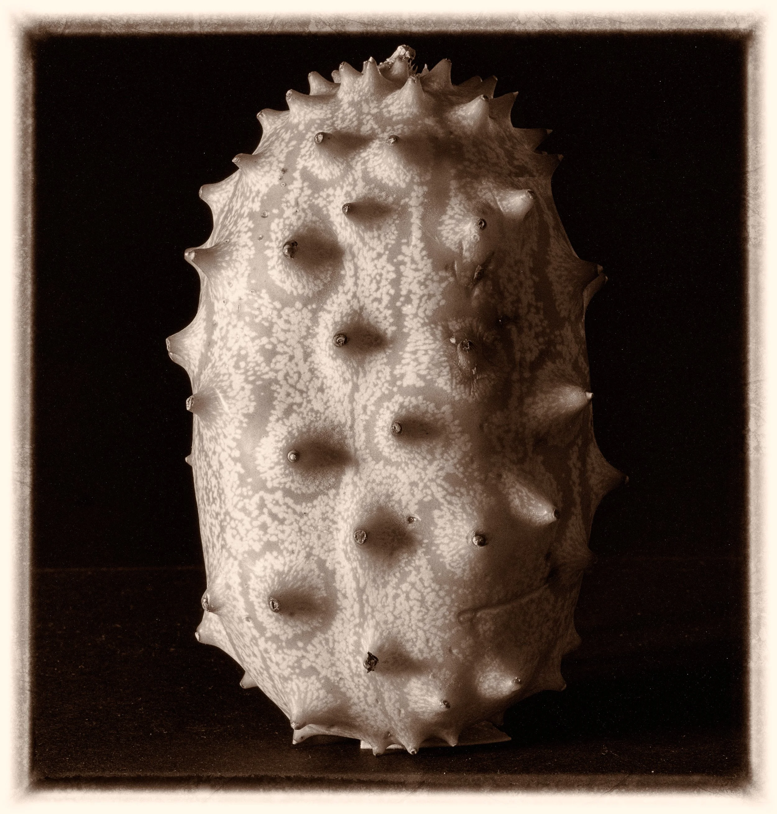 untitled (3 of 3).jpg