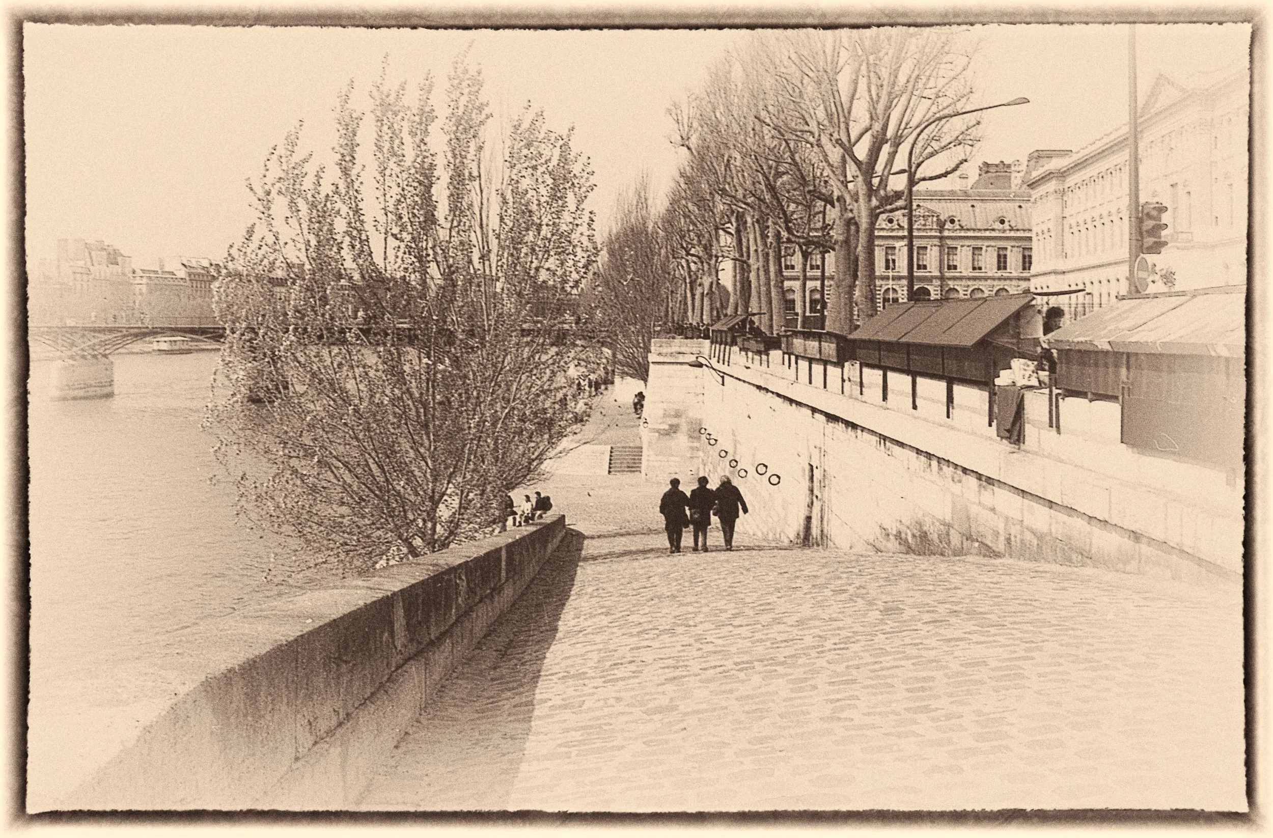 untitled (40 of 175).jpg