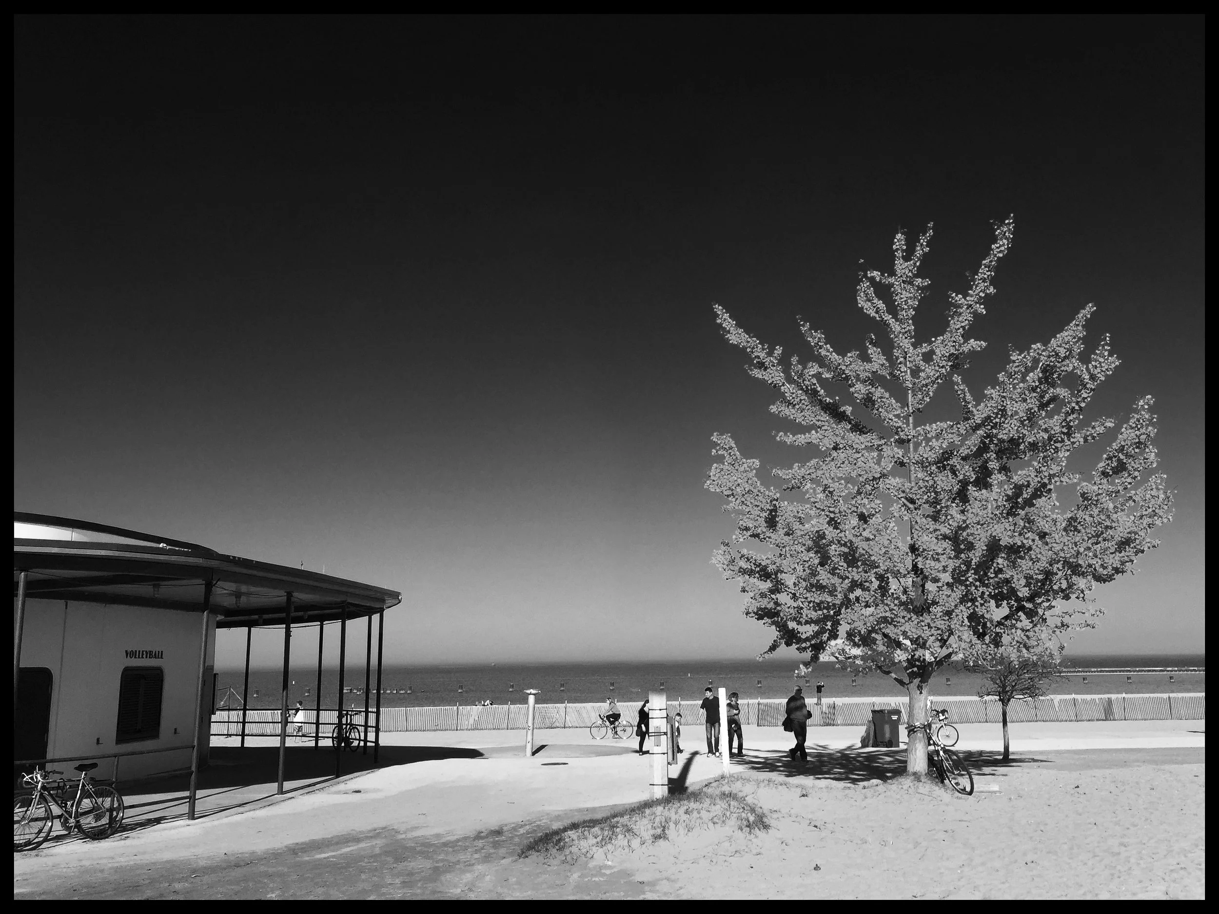 untitled (6 of 202).jpg
