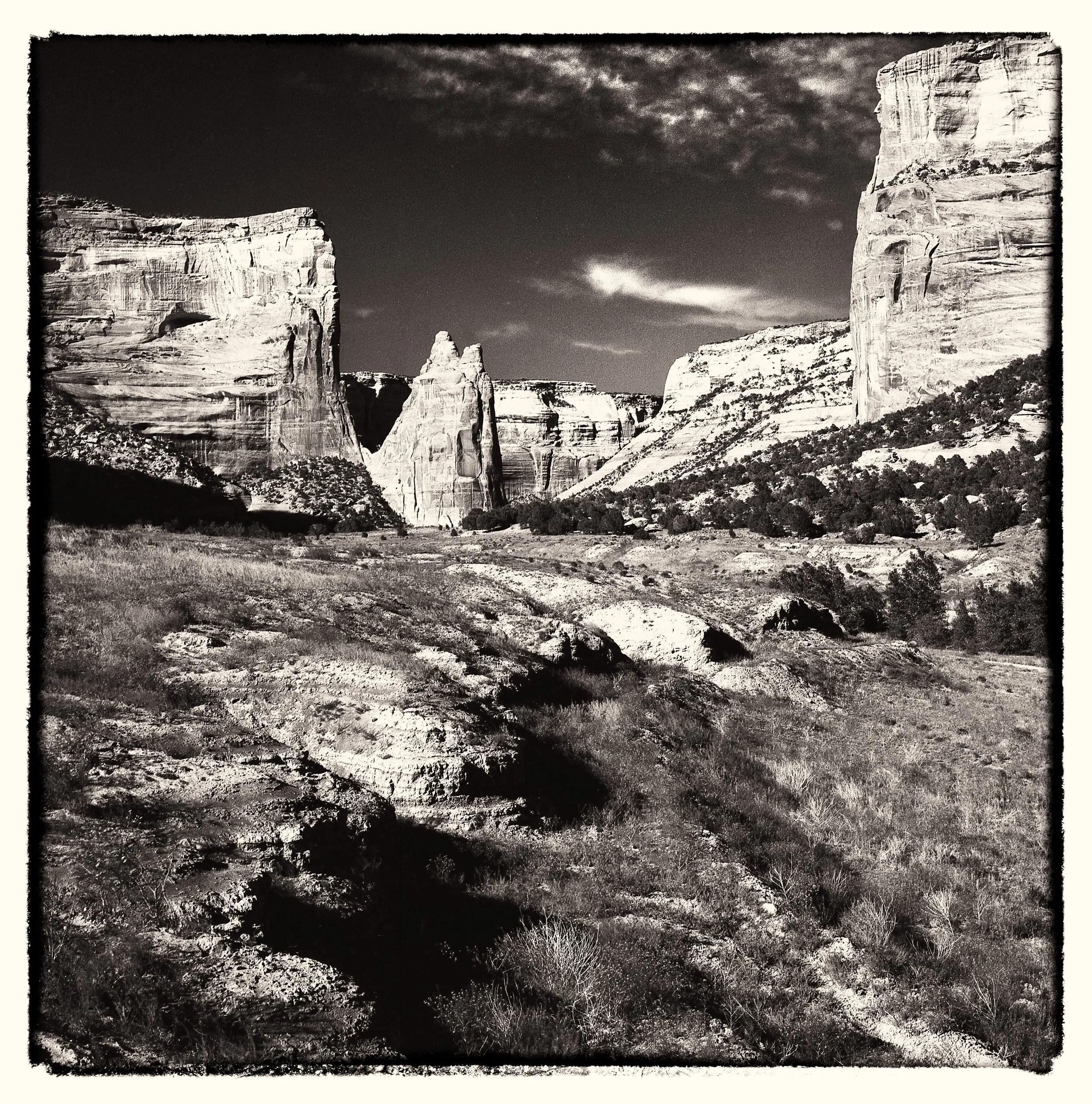 untitled (335 of 453).jpg