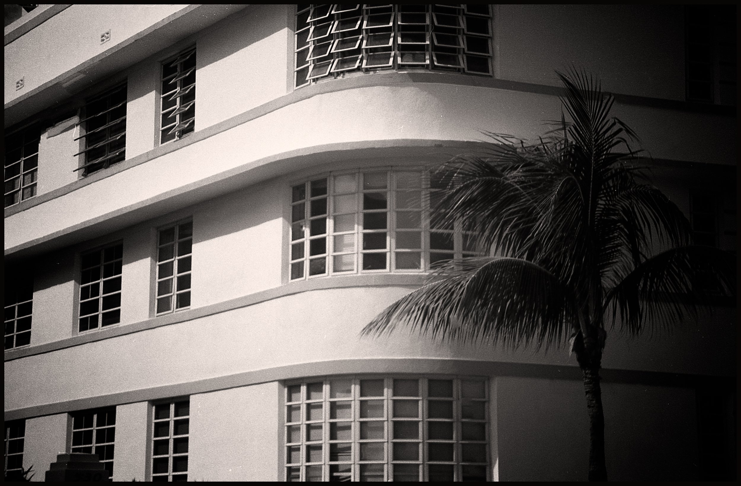 untitled (65 of 202).jpg