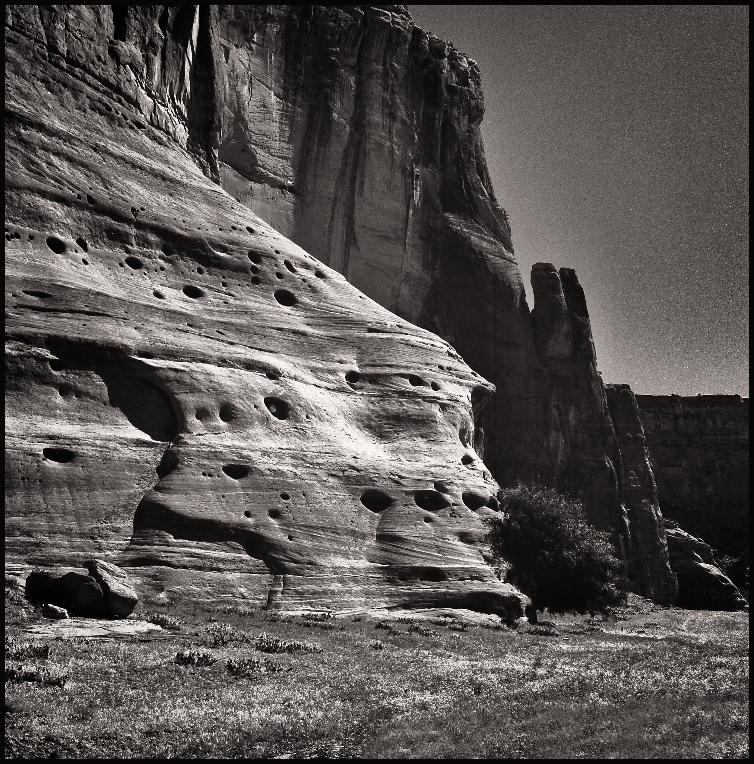 untitled (120 of 175).jpg