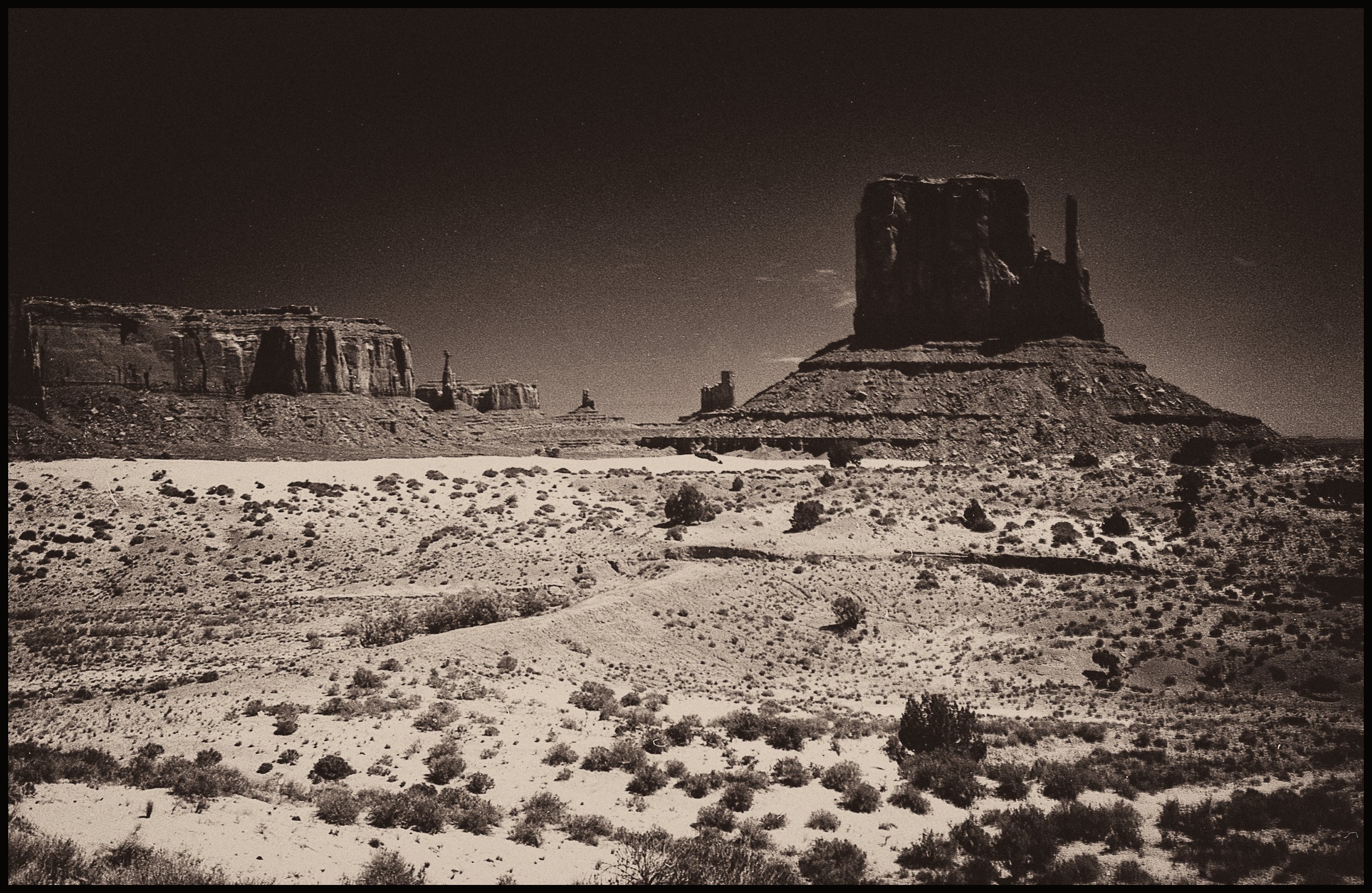 untitled (138 of 453).jpg