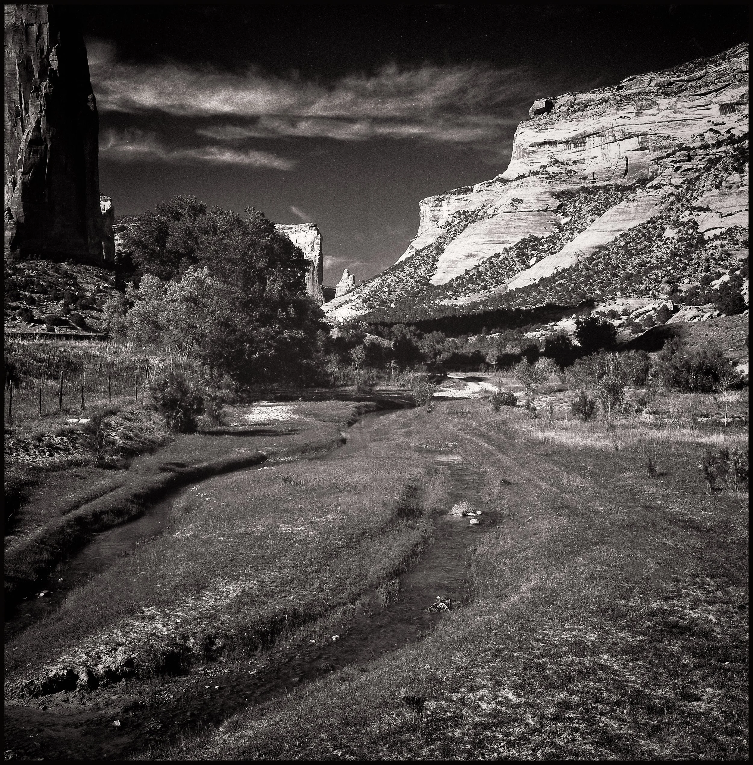 untitled (290 of 453).jpg