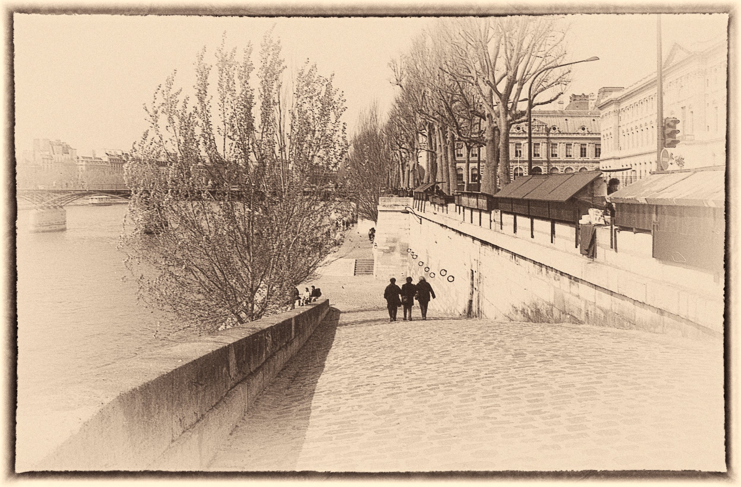 untitled (41 of 202).jpg