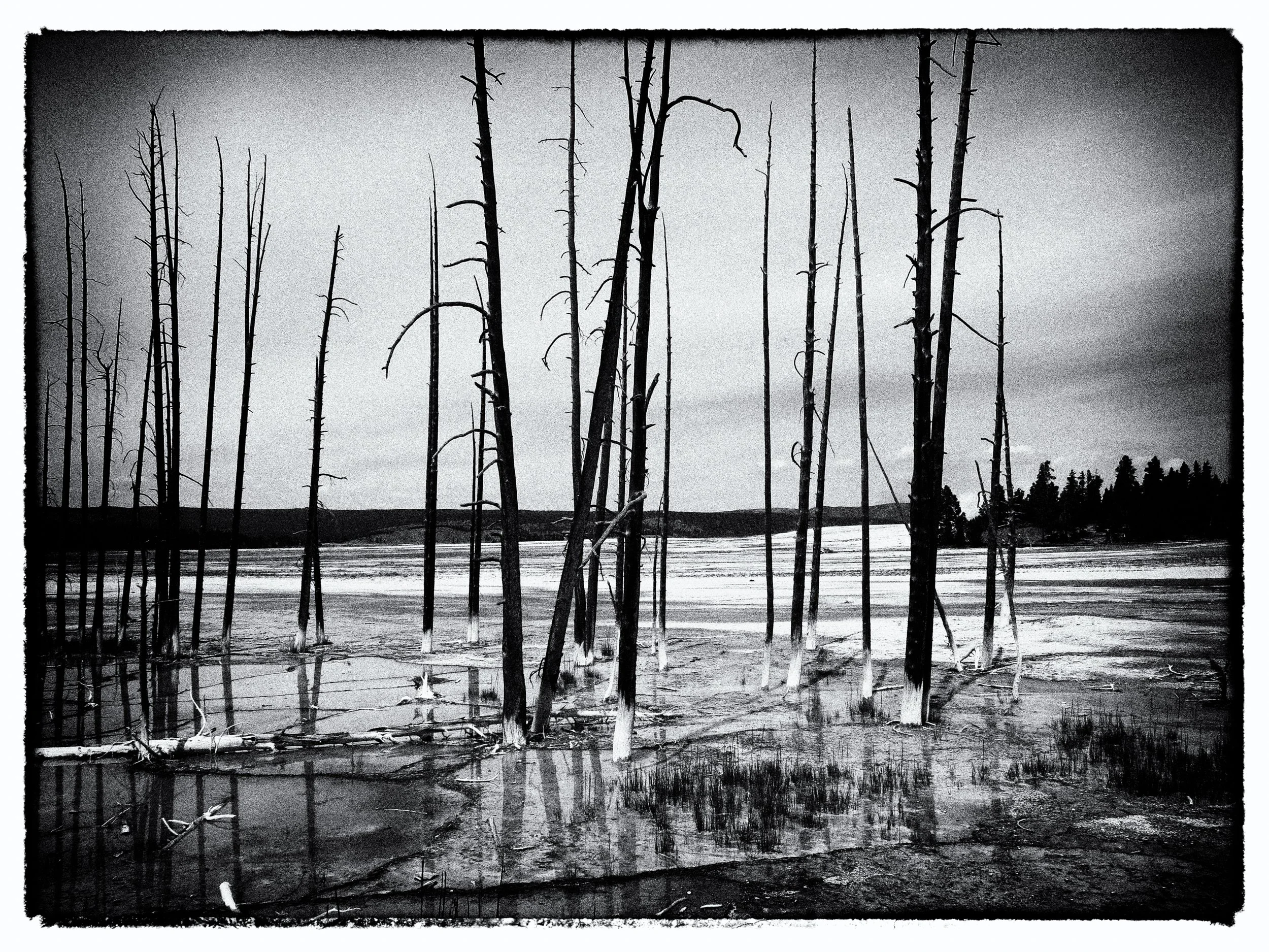 untitled (23 of 453).jpg