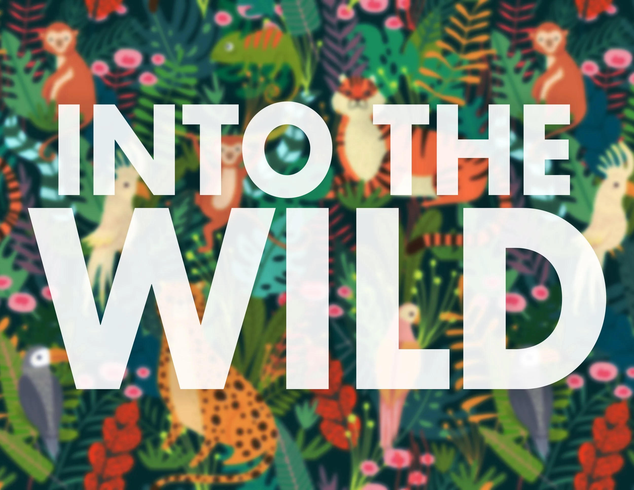 1 WILD.jpg