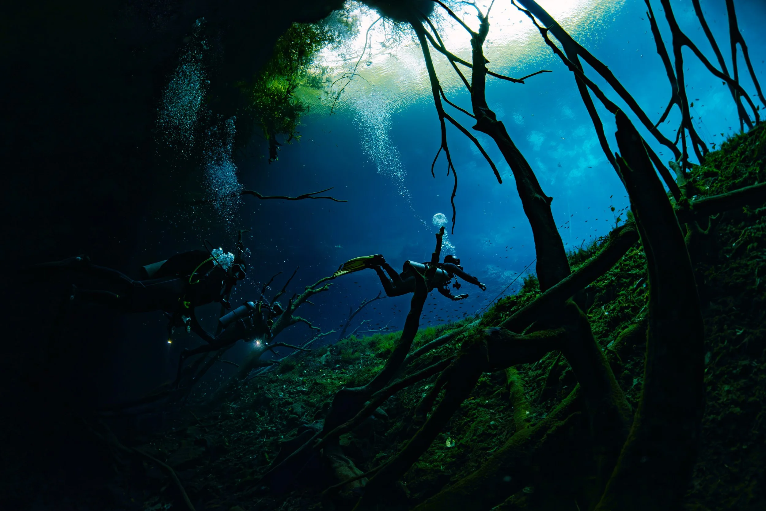 Cenote - Mexico