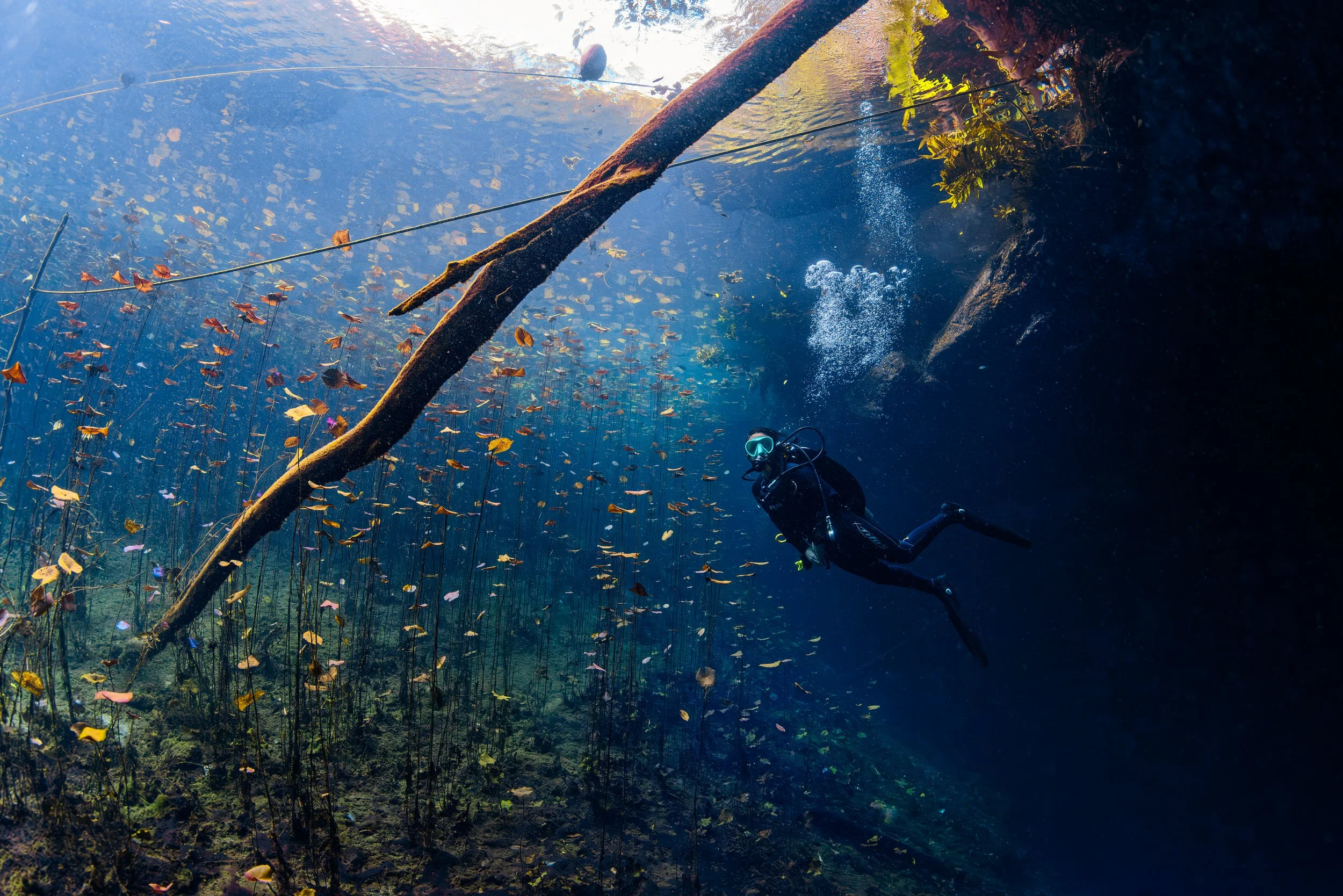 Cenote - Mexico