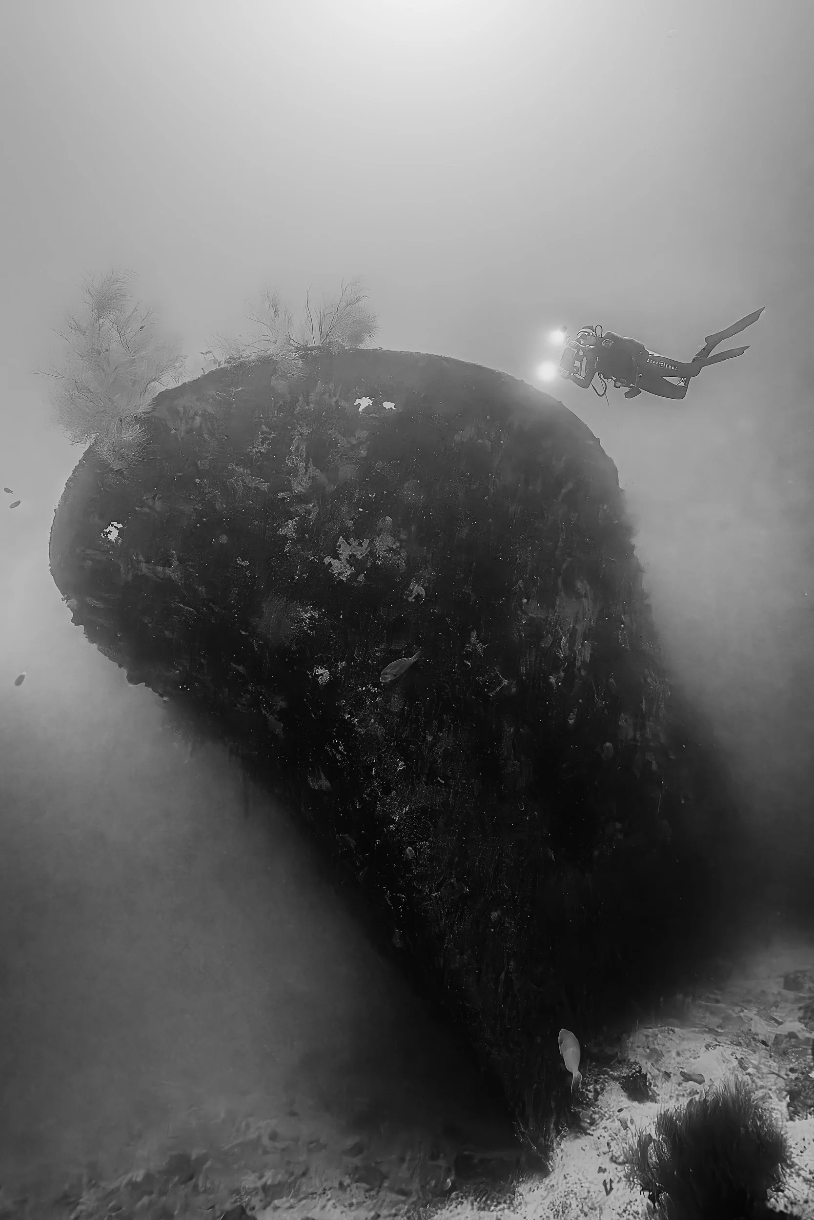 Solitude Beneath the Waves: A Diver Captures the Silent Majesty of a Forgotten Wreck - Maldives