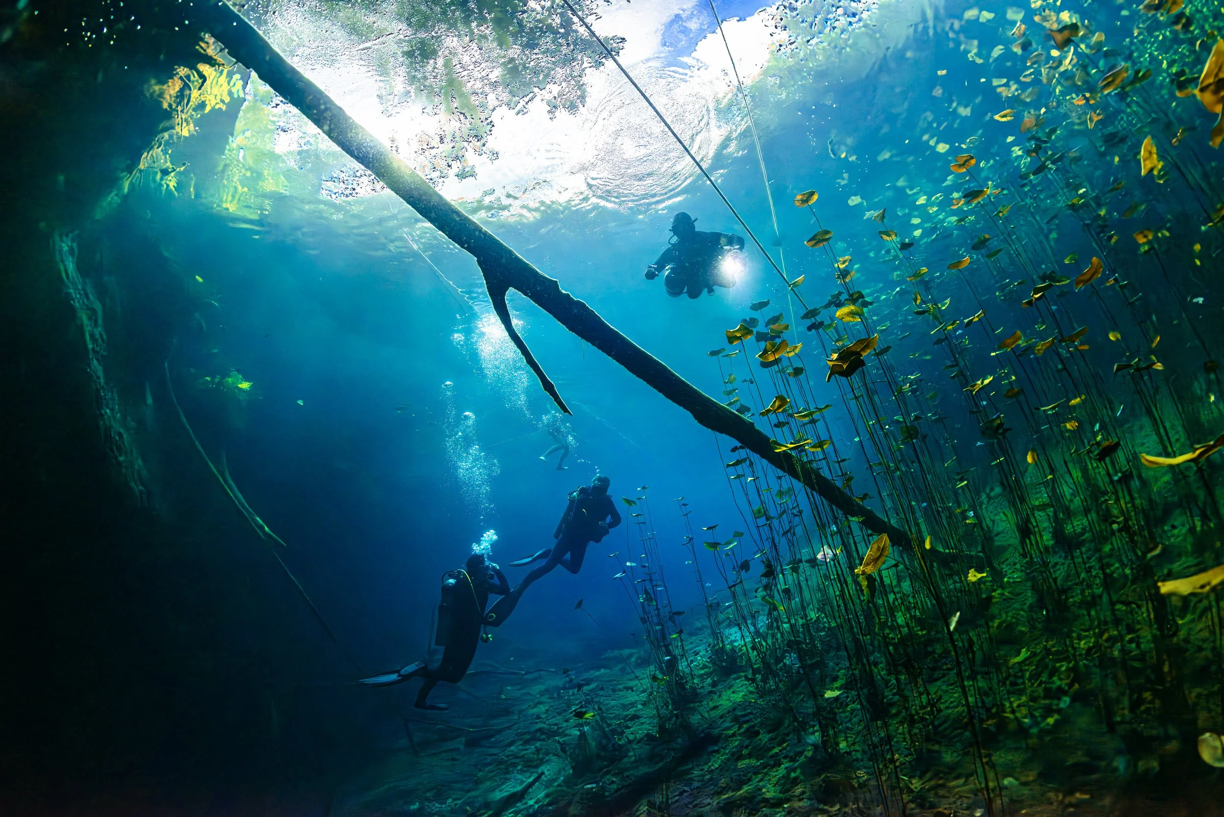 Cenote - Mexico