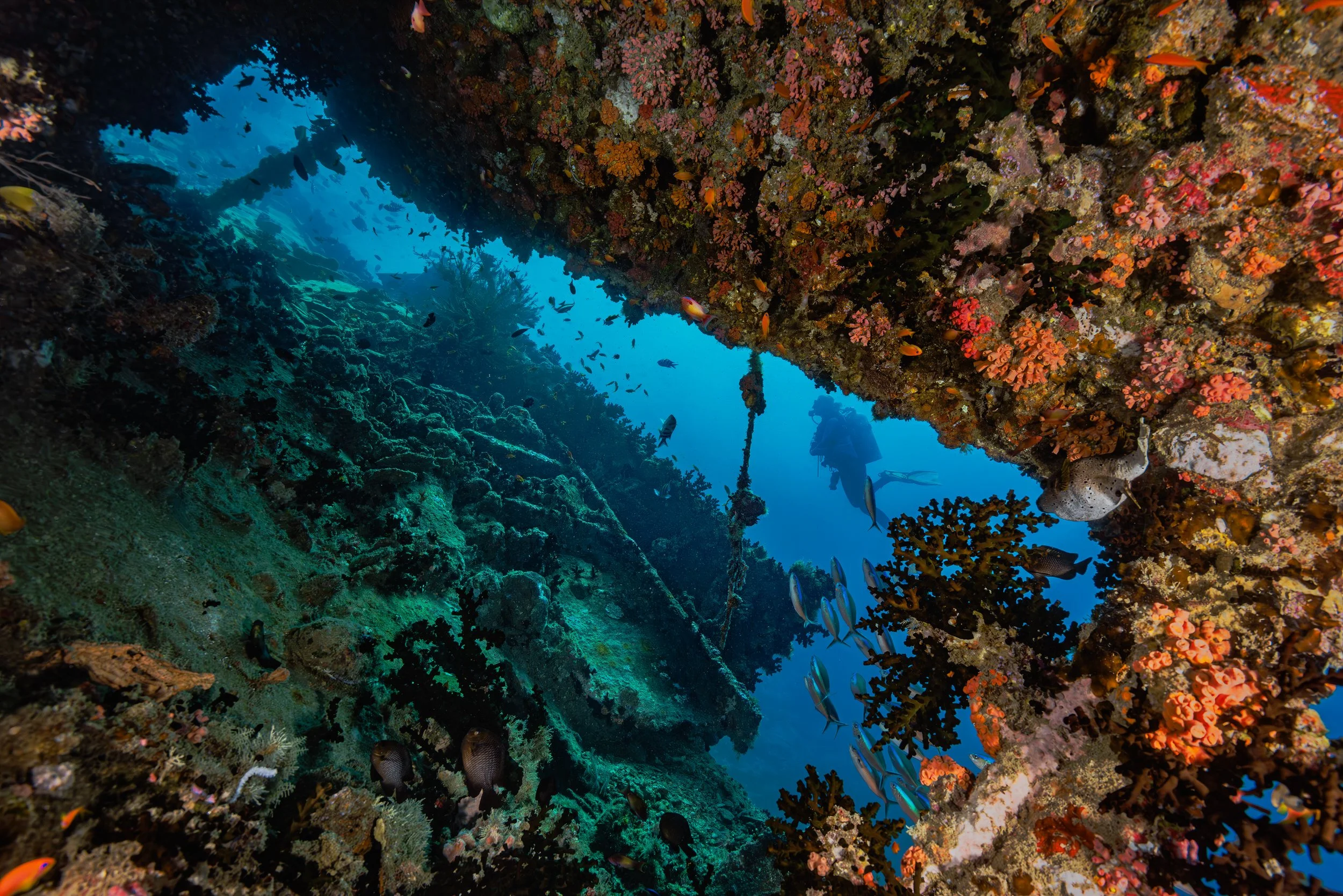 Wreck - Maldives