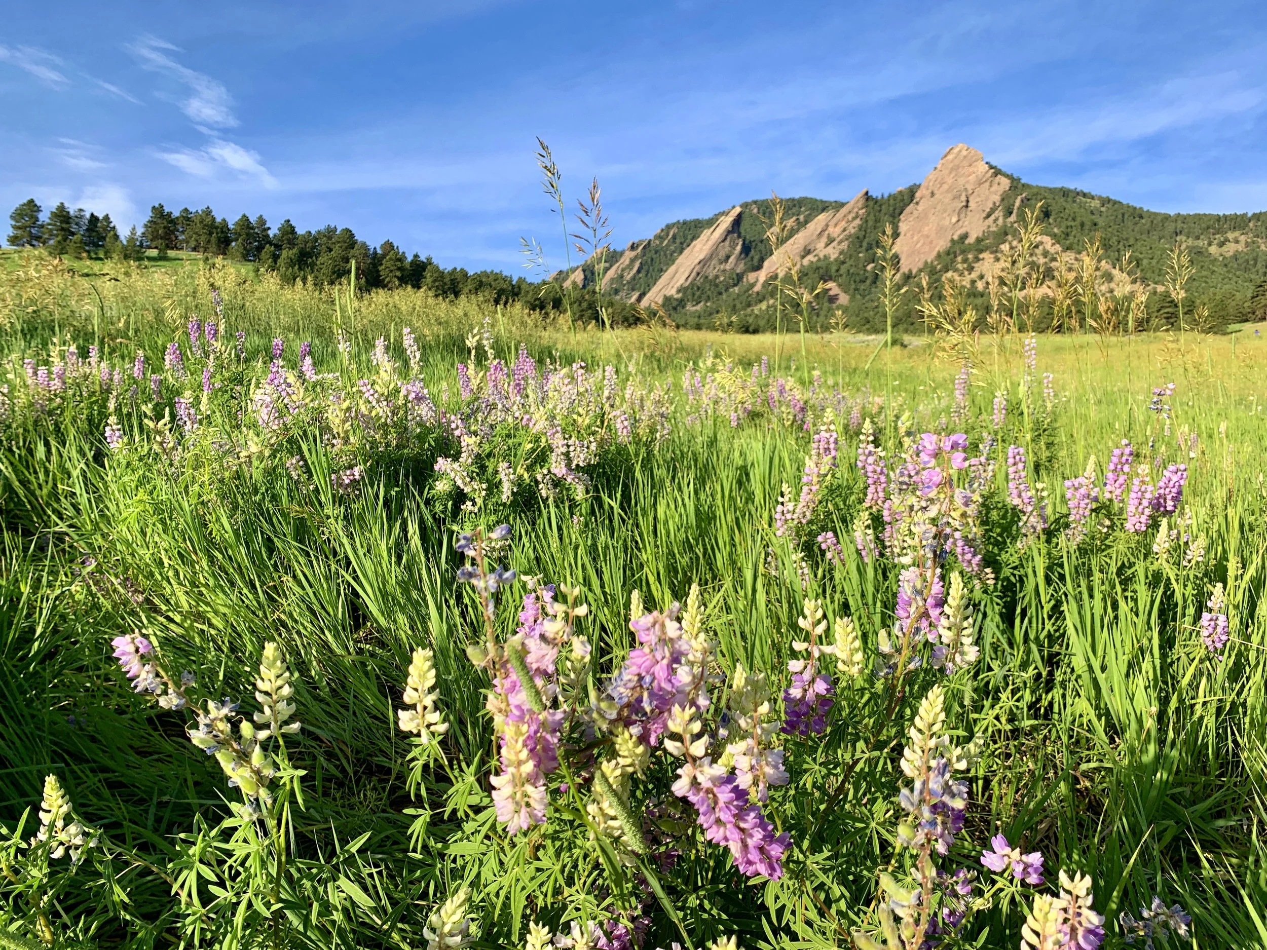 Flatirons.jpeg