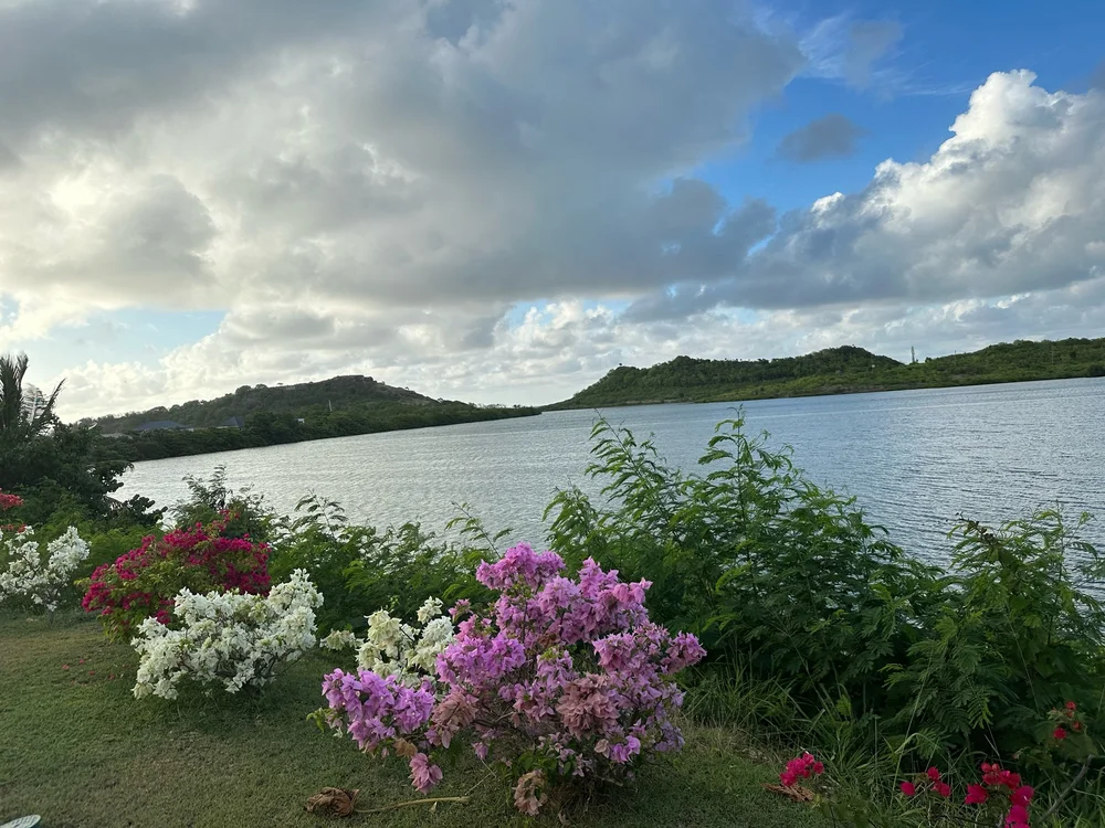 IMG_1020.jpeg