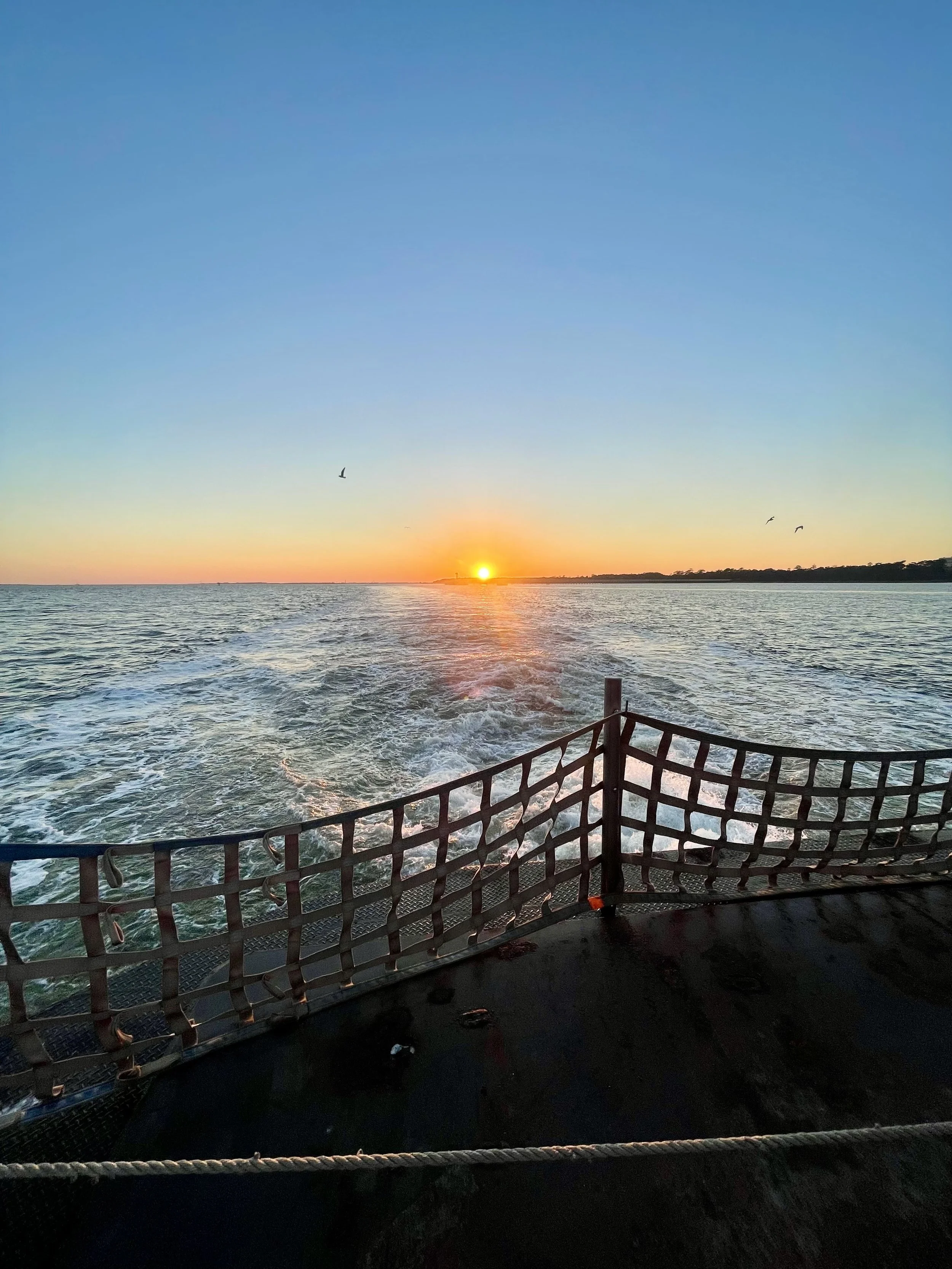 Winter on the Coast: A T.I.N.Y. List