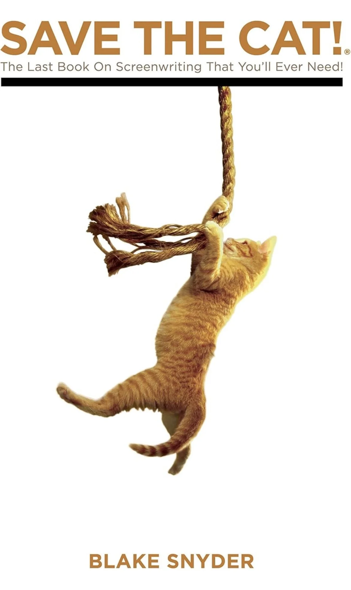 Save the Cat! by Blake Snyder