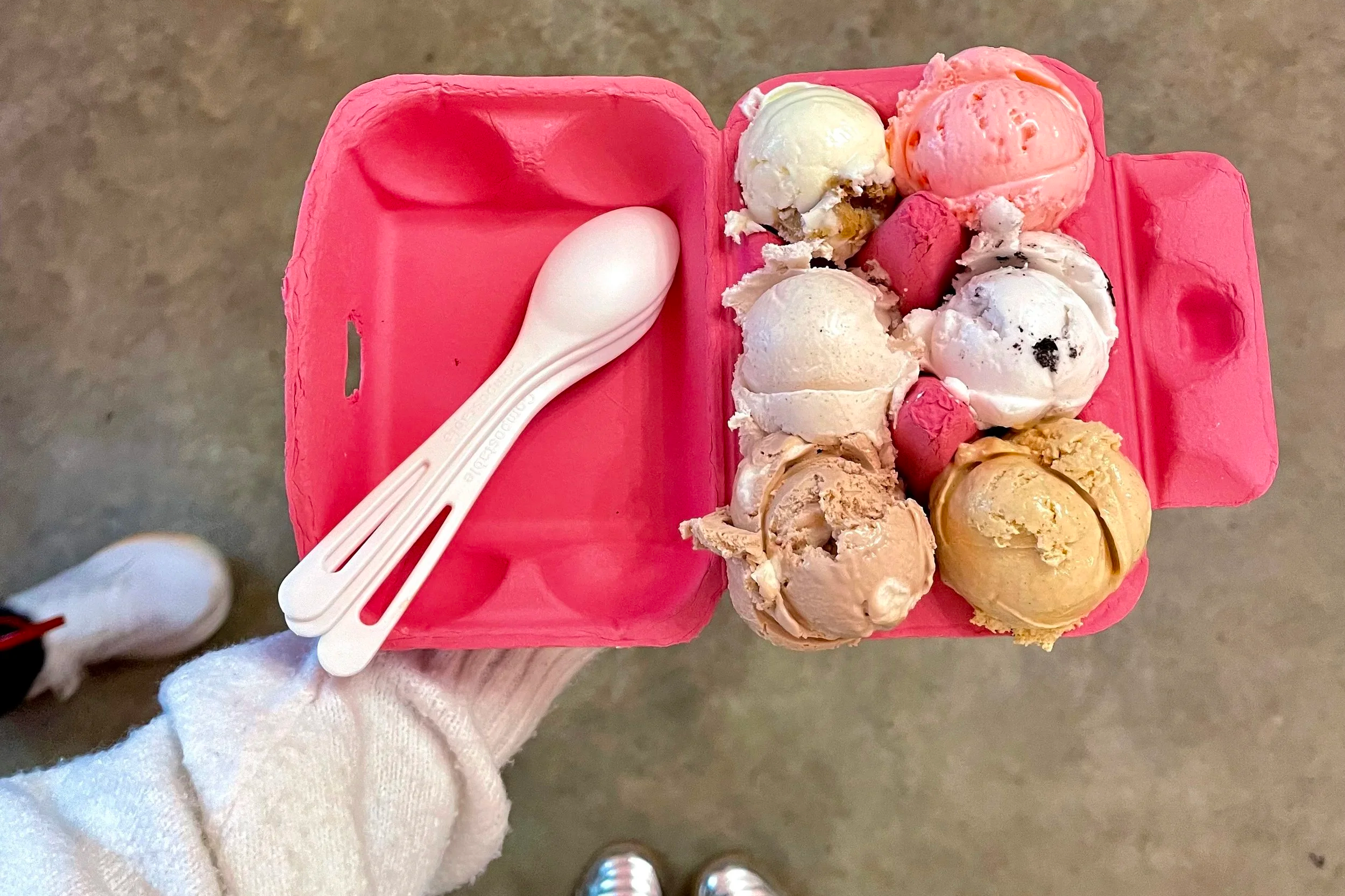 Wandering Cone in Wilmington, NC