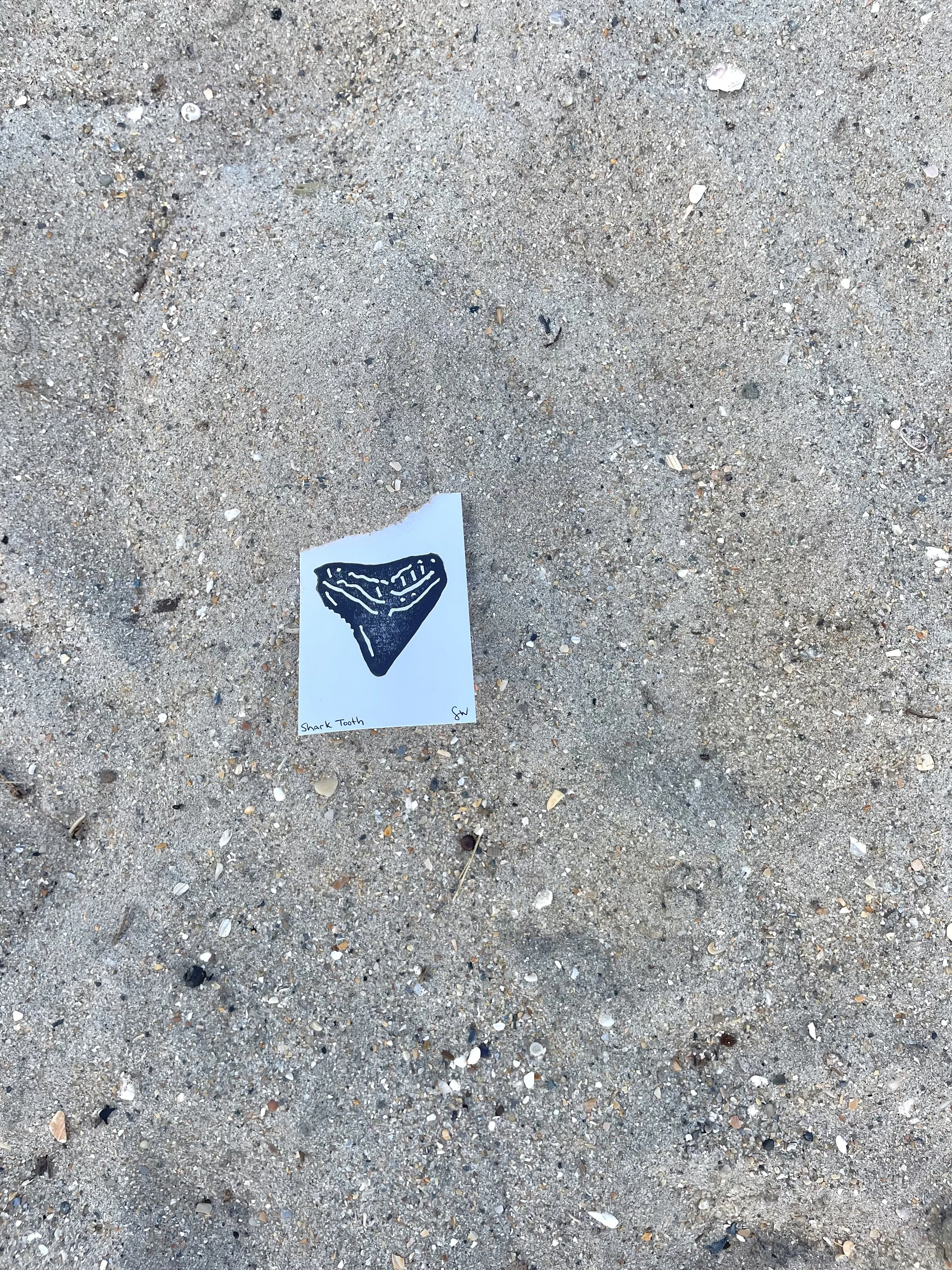 Shark Tooth Print