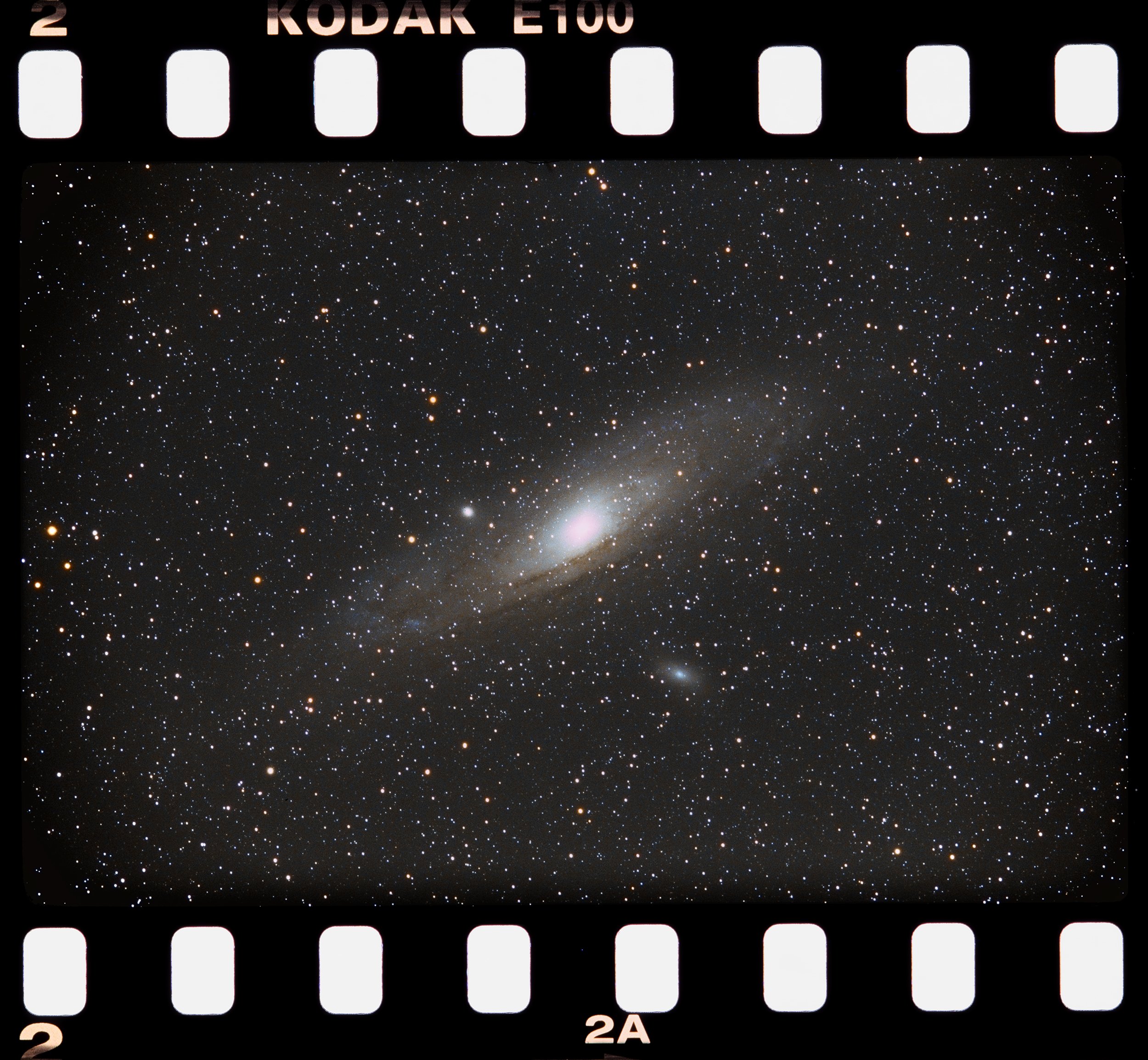 andromeda final copy.jpg