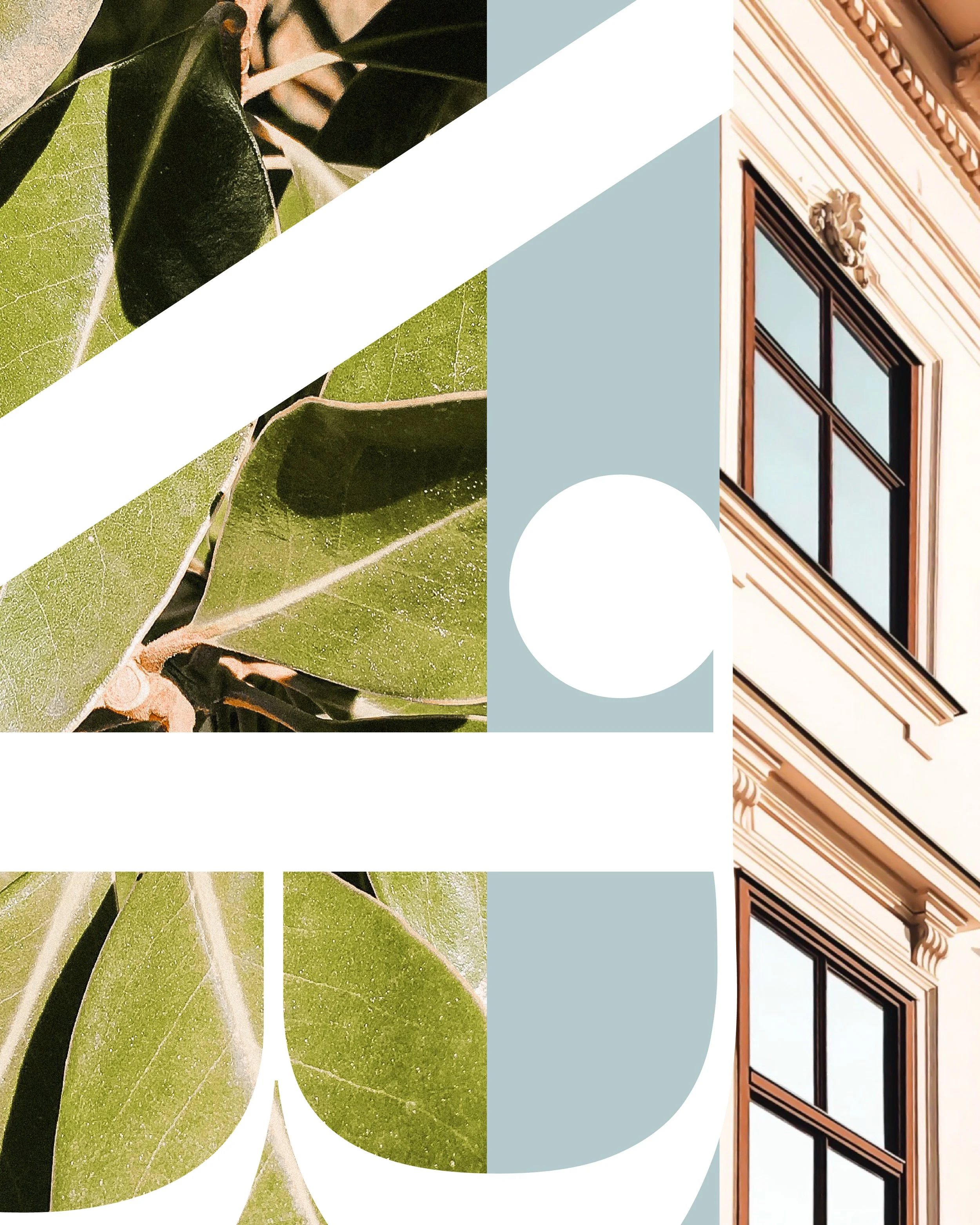 Artboard 7@3x-100.jpg