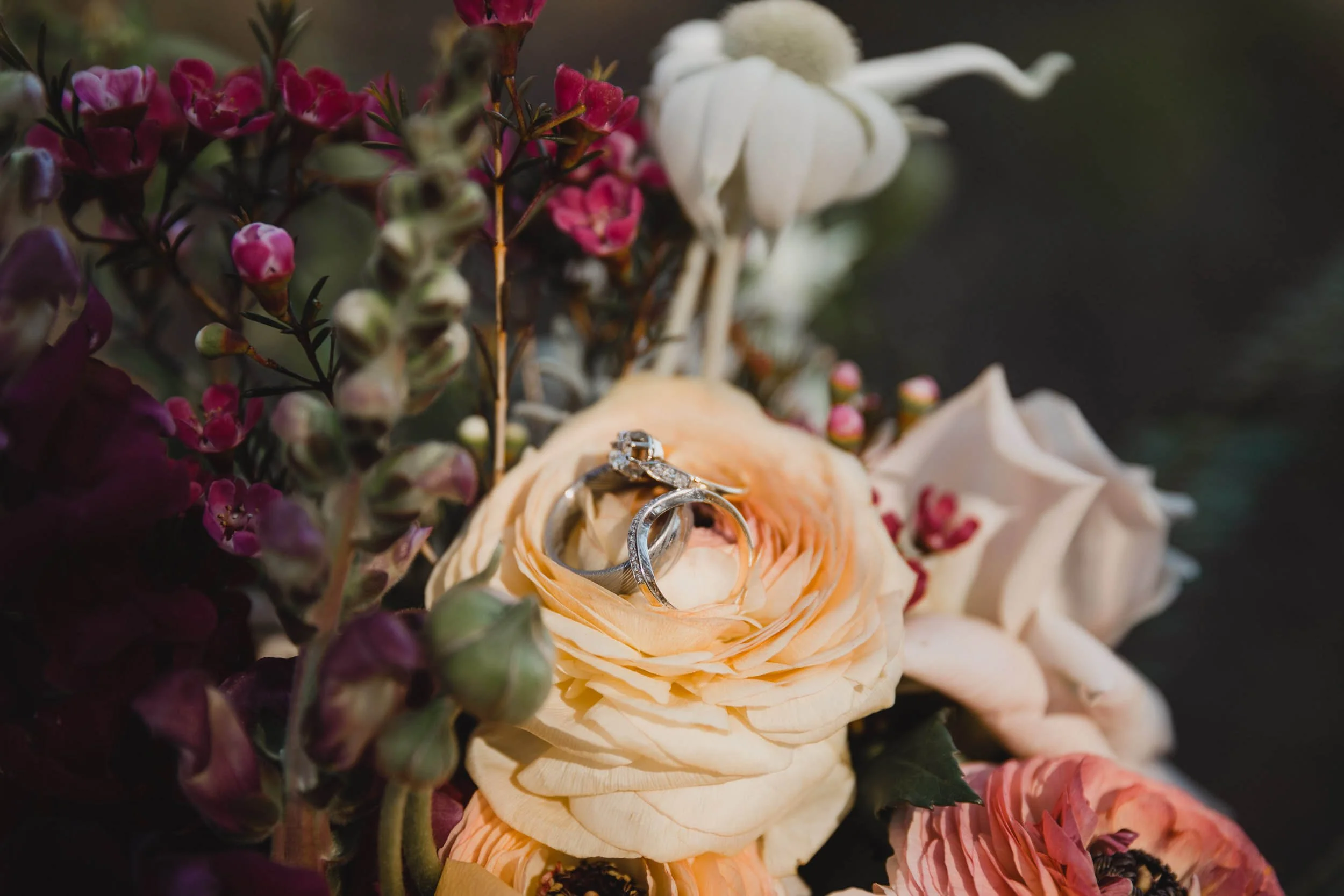 Folkstone-JeremyBek-Wedding-Web-37.jpg