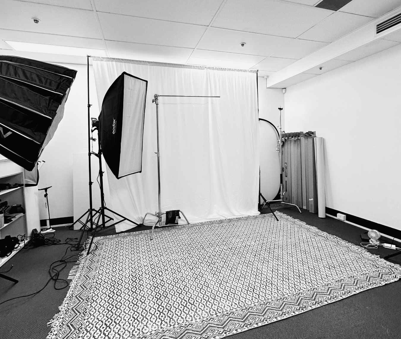 Folkstone's CBD studio setup with lighting equipment, a backdrop, and a rug ready for a photoshoot.