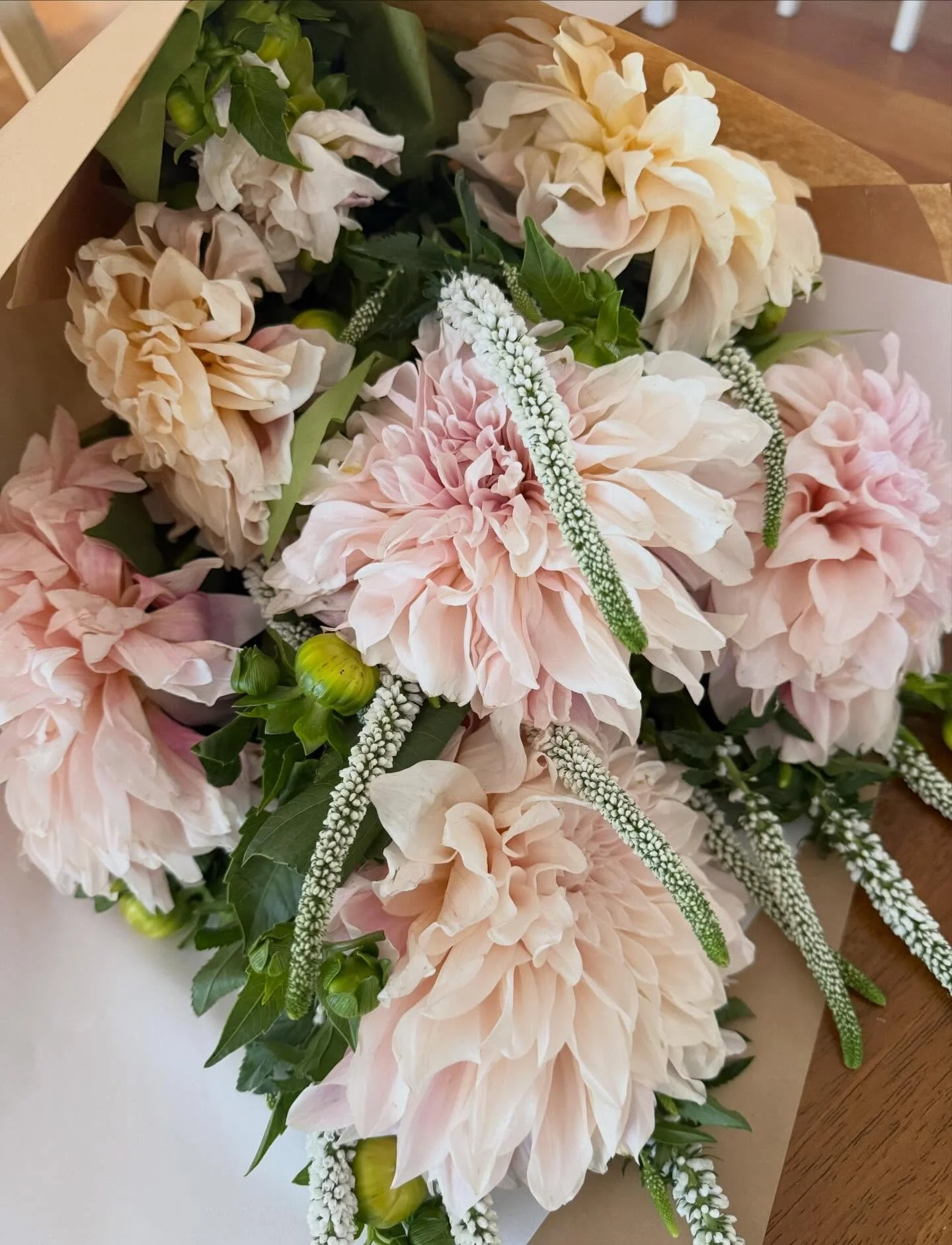 Pretty florals to brighten up your Saturday 🌸💖✨

I always love drawing flowers from real life when I have the opportunity, whether it&rsquo;s a gorgeous bouquet like this one or taking some time for myself to sit and sketch in the beautiful botanic