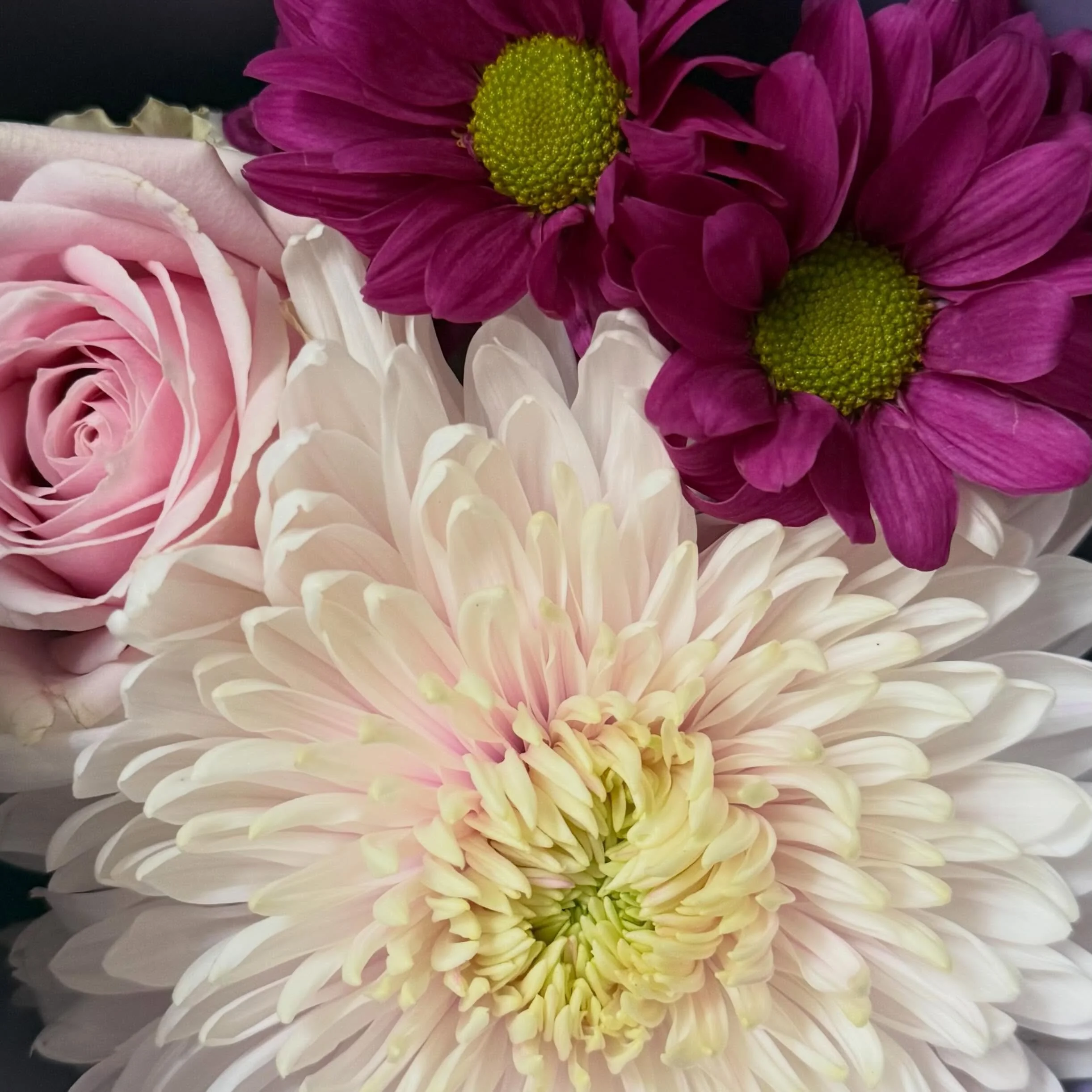 🌸✨💖