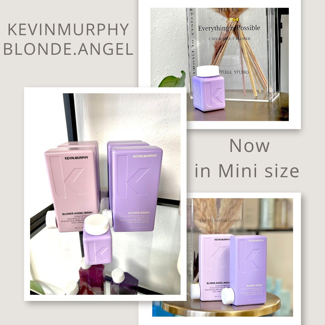 November 1st featuring Kevin Murphy's BLONDE.ANGEL wash and rinse. Now available in a mini size
.
Blonde Angel is not only for blondes but also enhances those beautiful grey hair clients. 
.
Check out our online store link in bio for ordering options