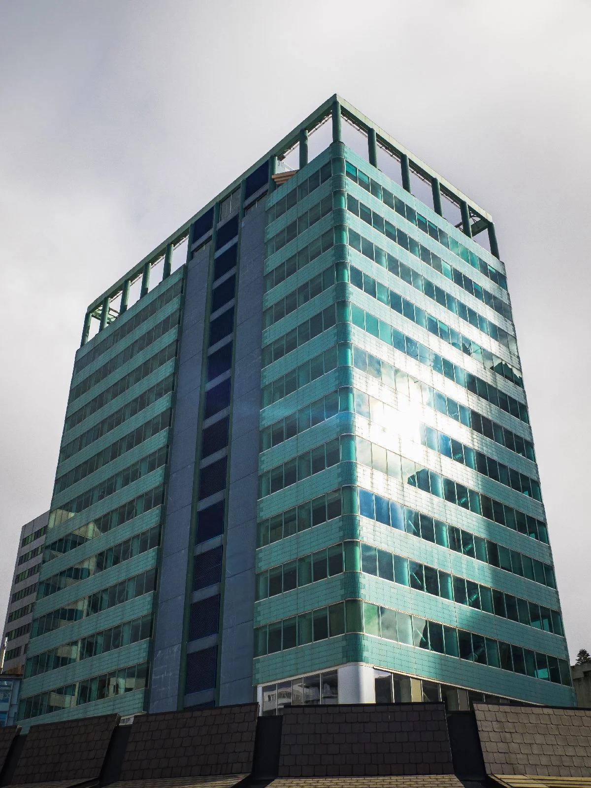 20260811-331.jpg