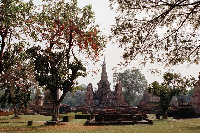 1254.jpg