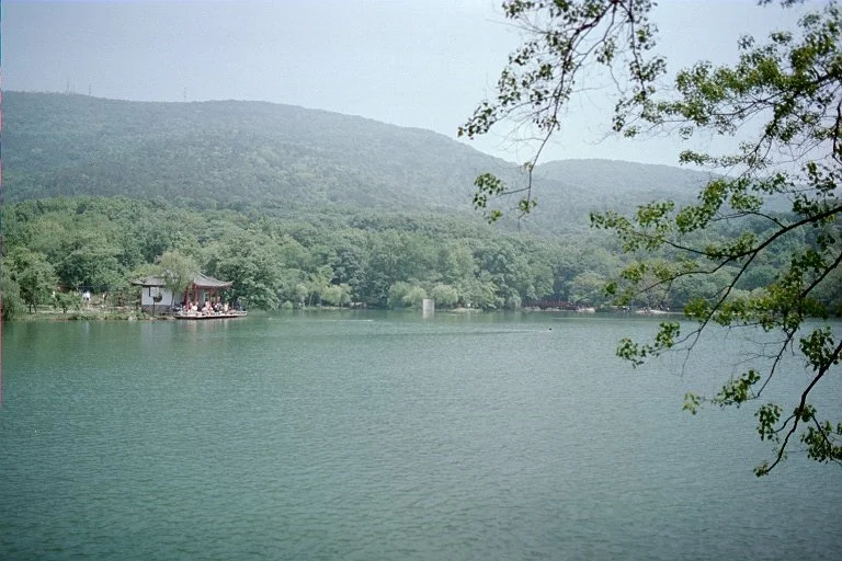 2107.jpg