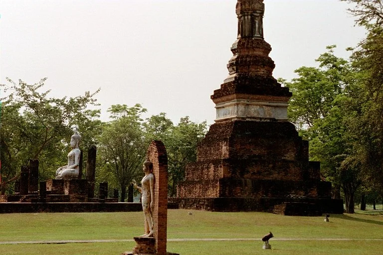 1264.jpg