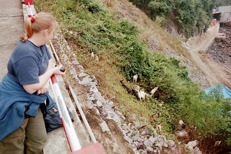 0370.jpg