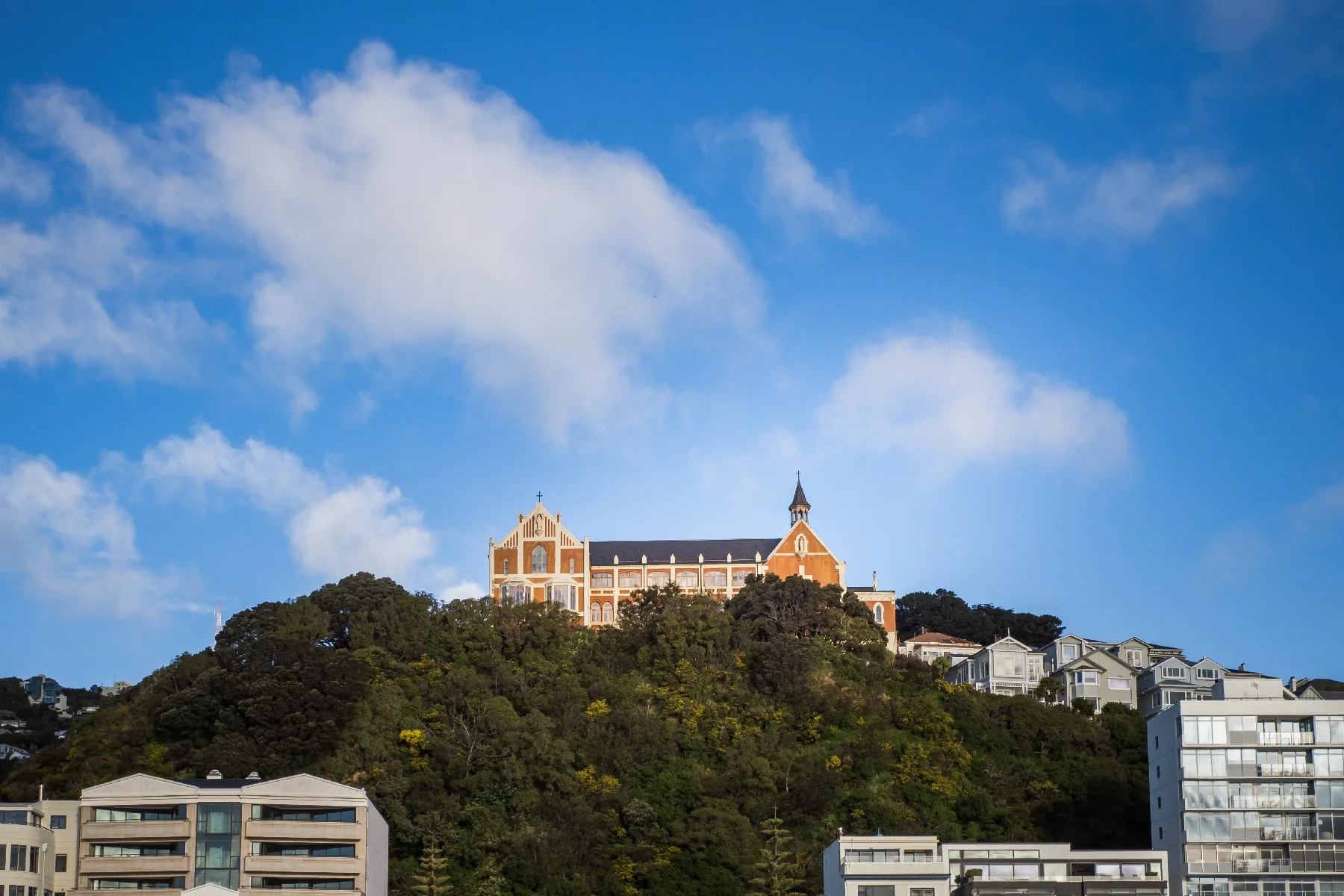 20260809-259.jpg