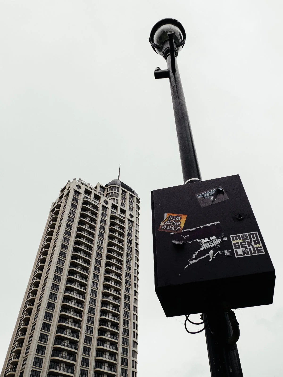 20260731-008.jpg