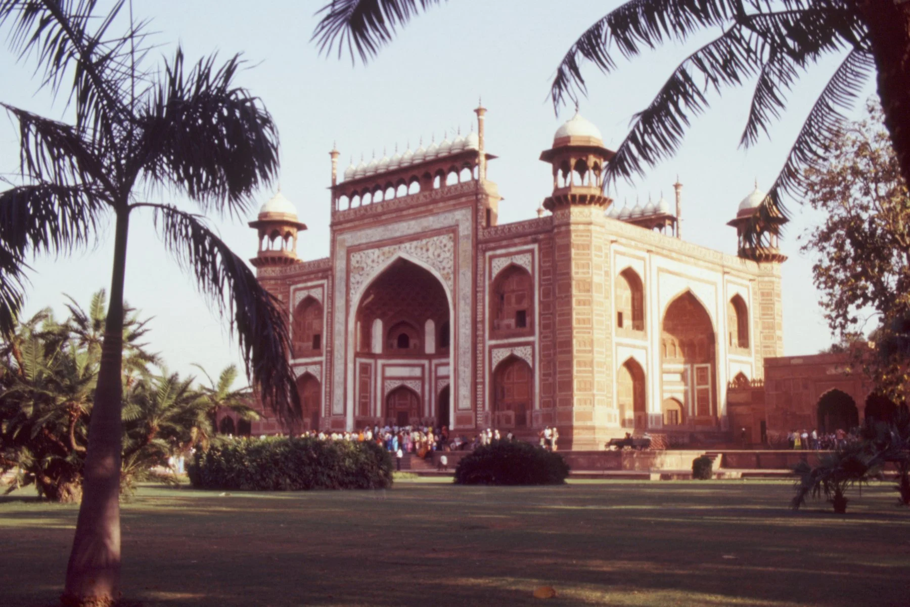 taj 04.jpg
