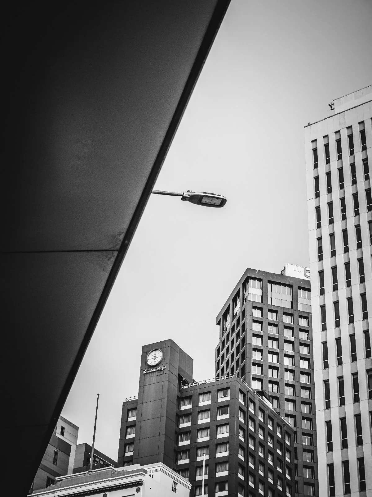 20260811-318.jpg