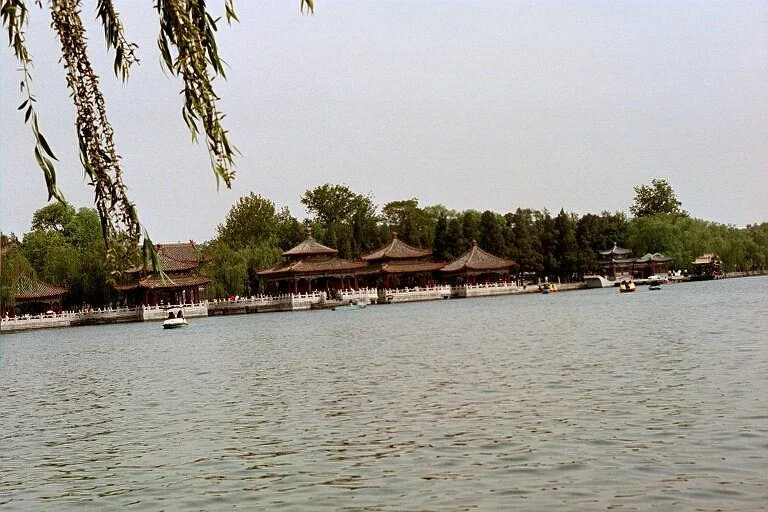2134.jpg
